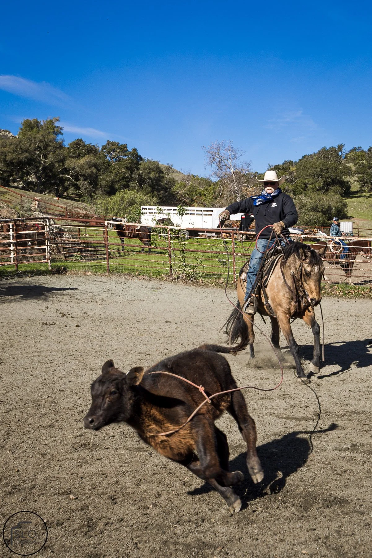 2026 CTC Branding-128.jpg