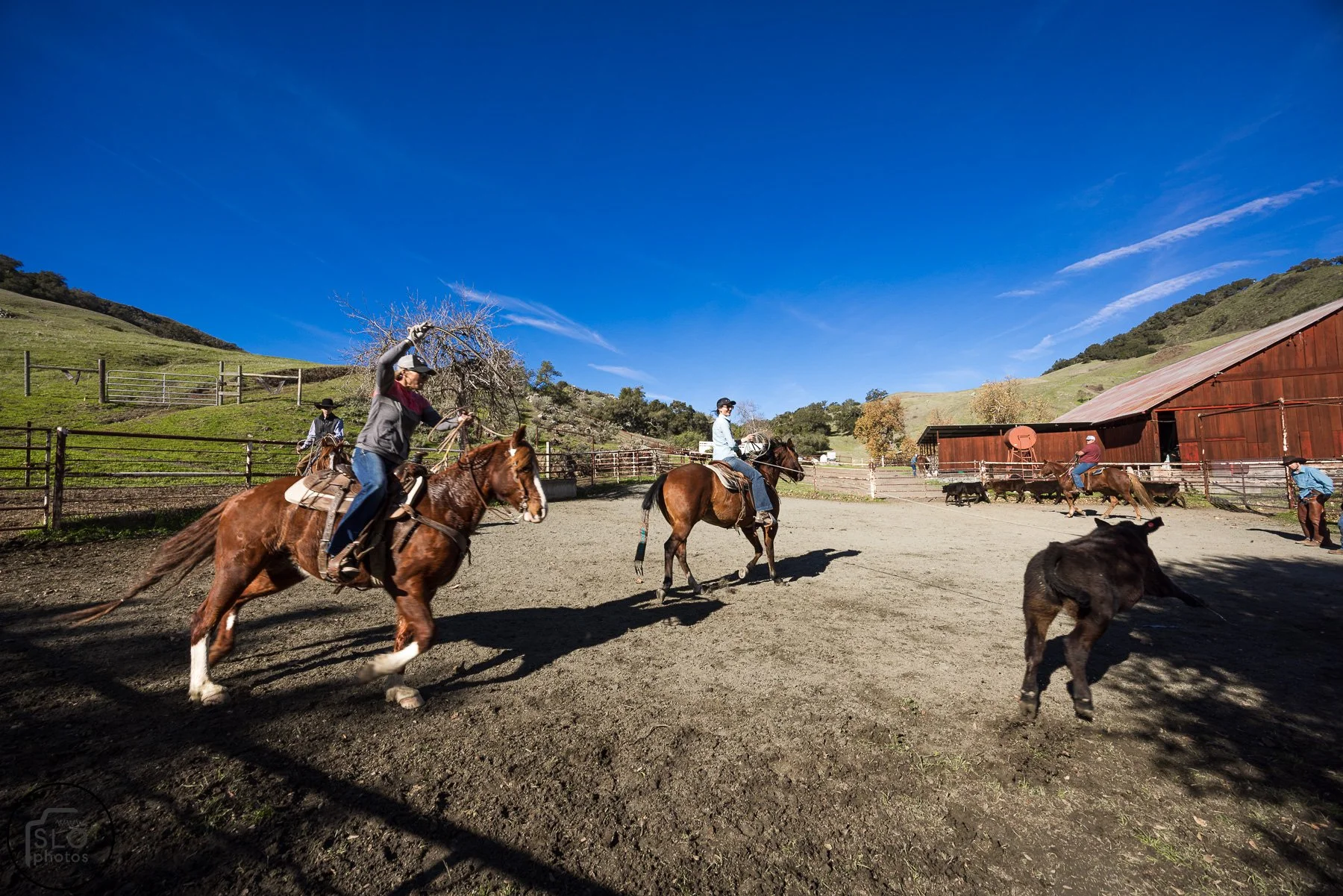 2026 CTC Branding-127.jpg