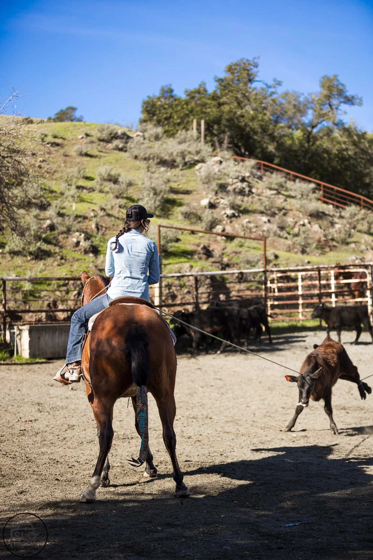 2026 CTC Branding-096.jpg