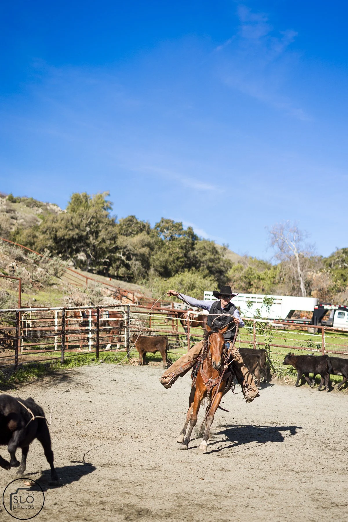 2026 CTC Branding-050.jpg