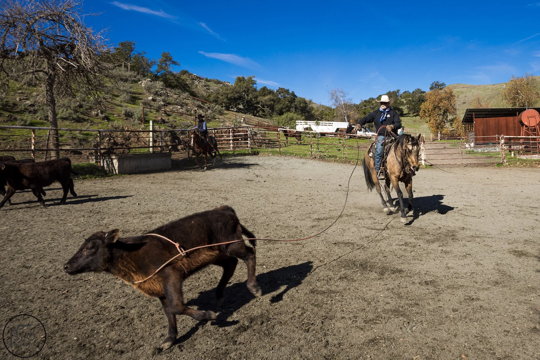 2026 CTC Branding-129.jpg