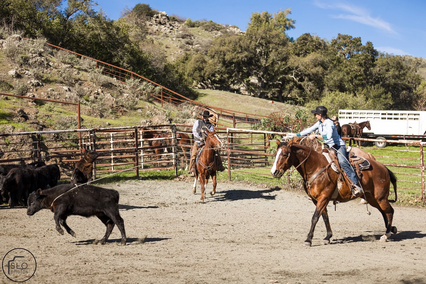 2026 CTC Branding-072.jpg