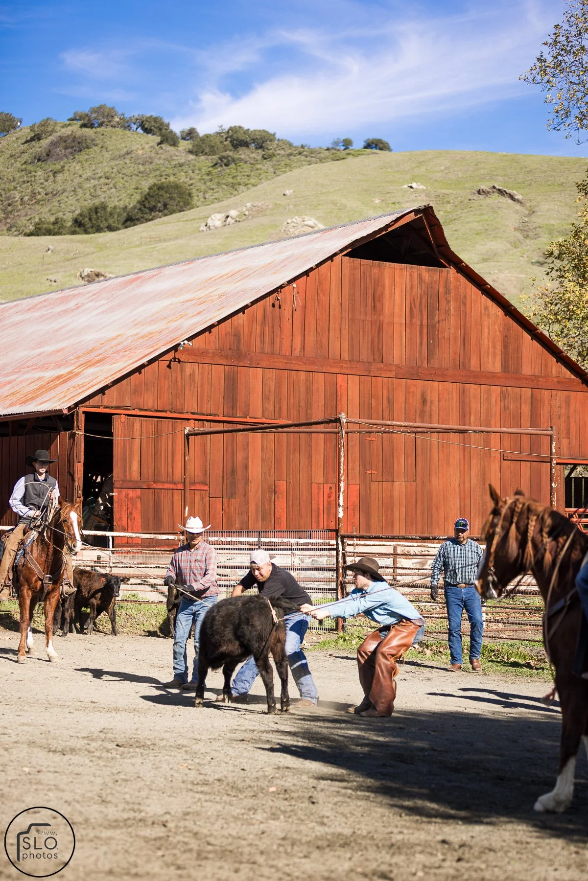 2026 CTC Branding-087.jpg