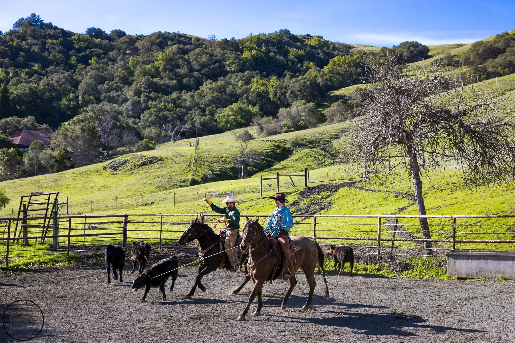 2026 CTC Branding-021.jpg