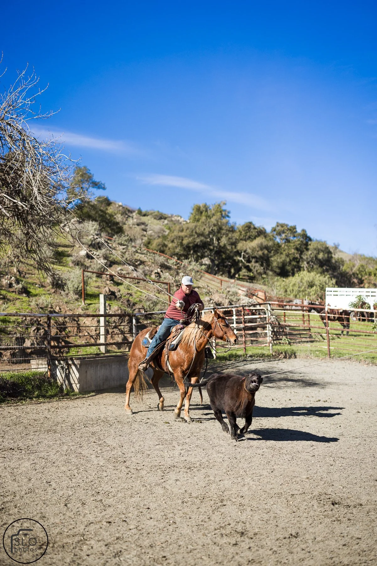 2026 CTC Branding-168.jpg