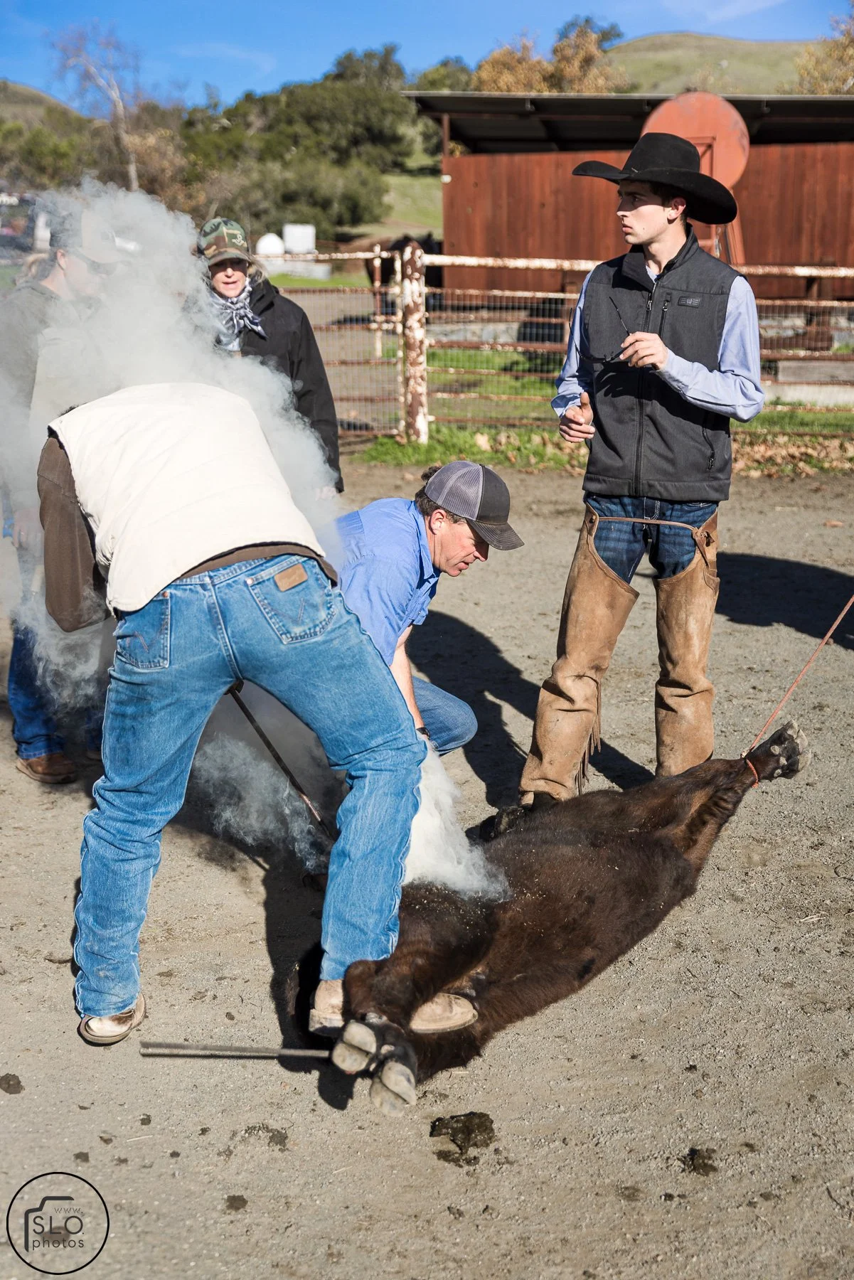 2026 CTC Branding-001.jpg