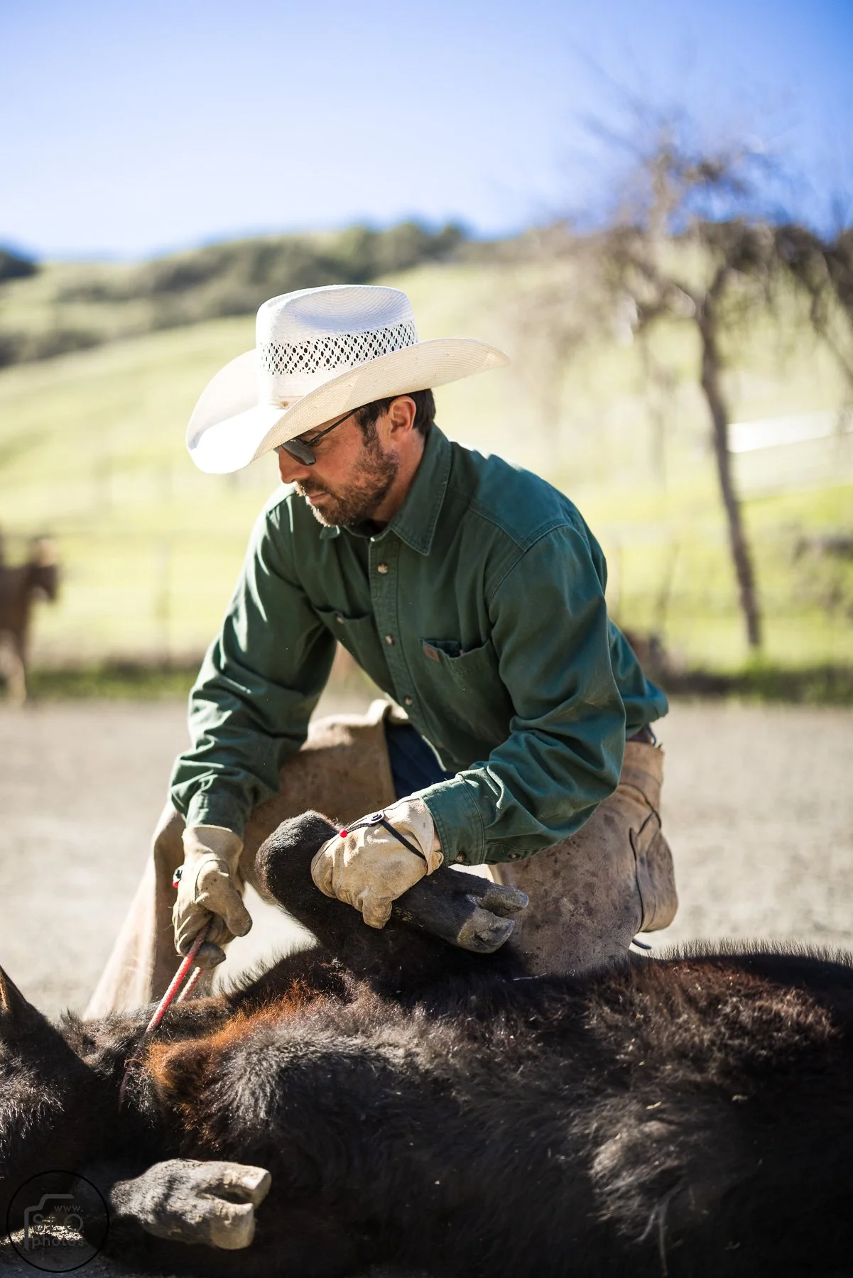 2026 CTC Branding-158.jpg