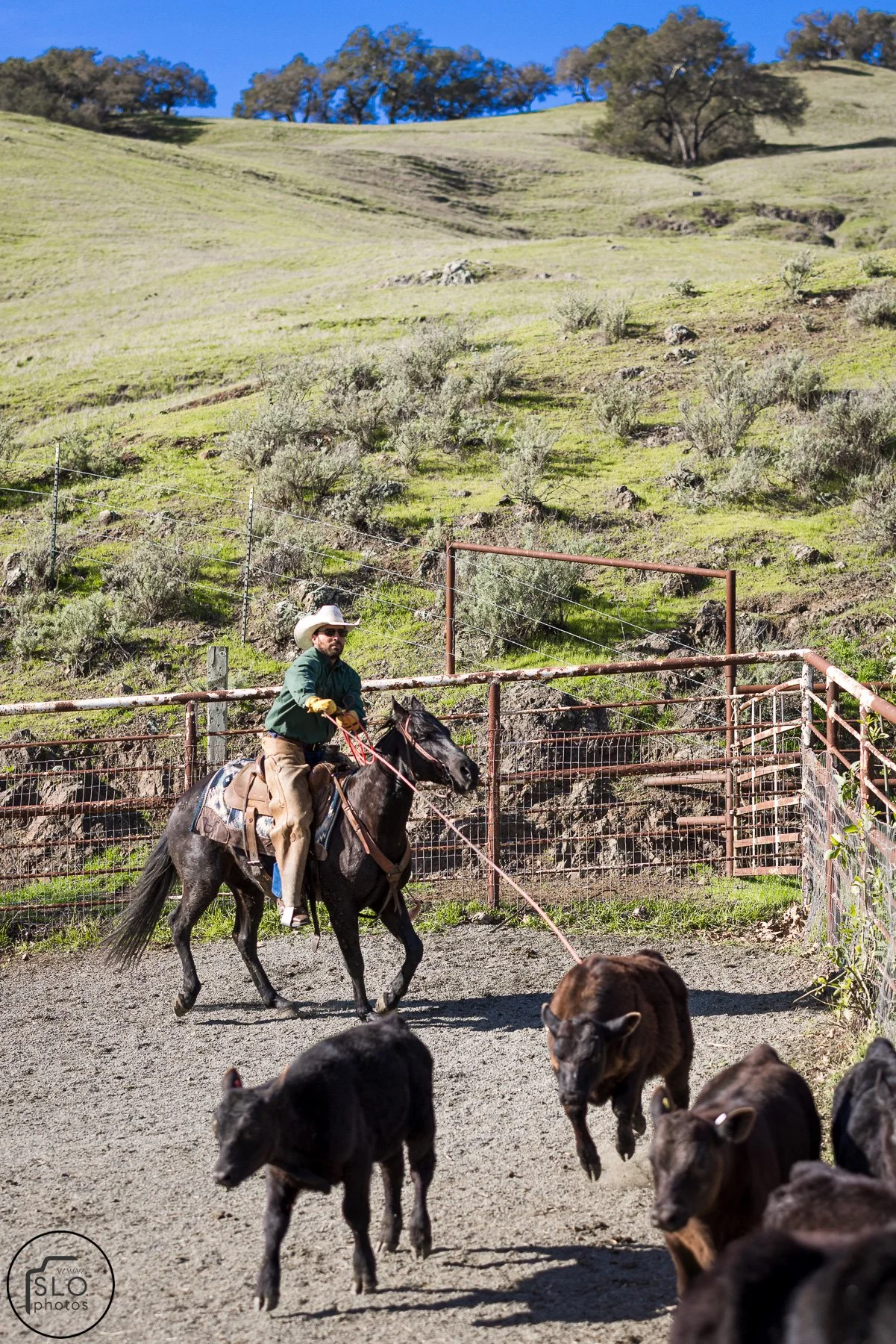 2026 CTC Branding-024.jpg