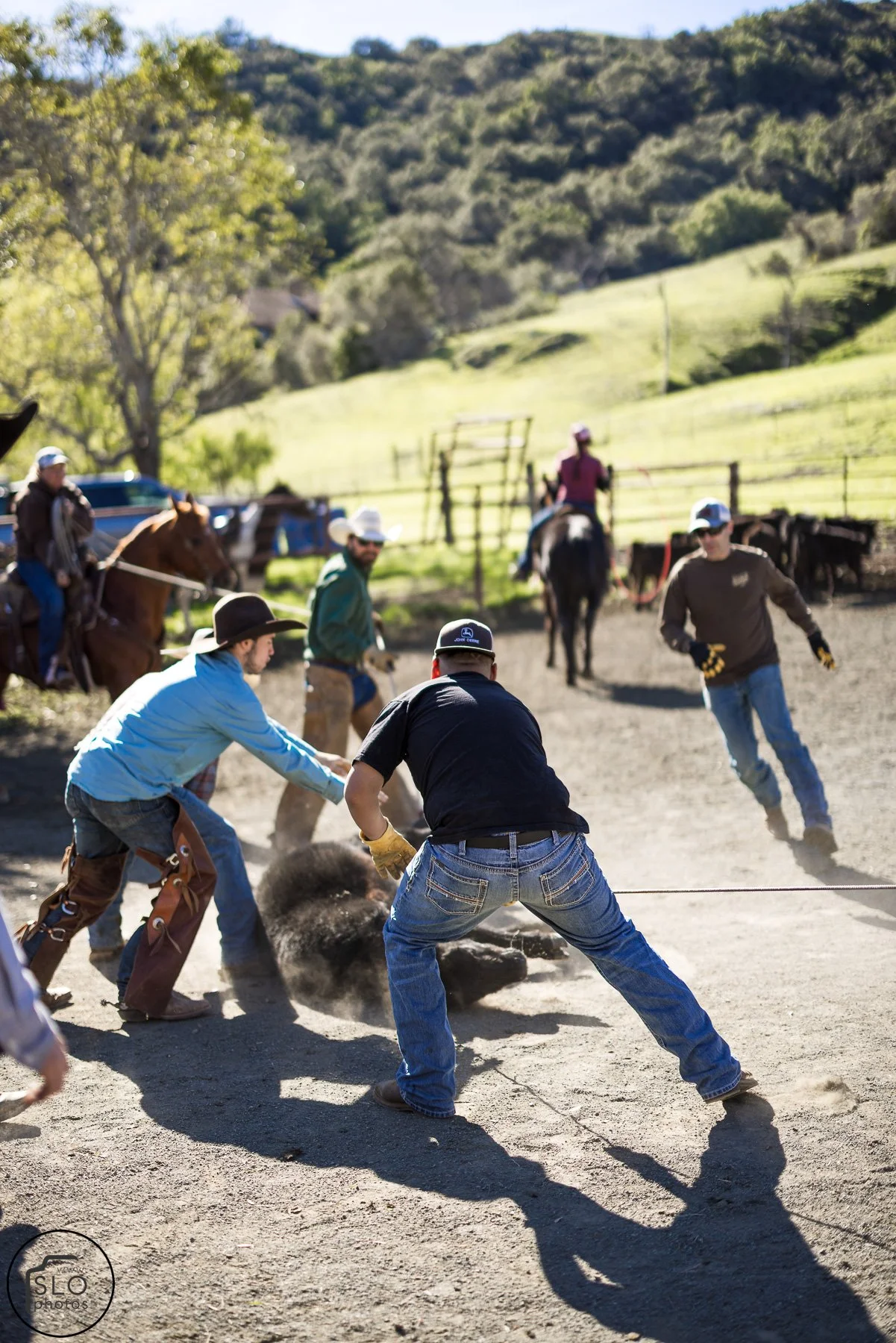 2026 CTC Branding-150.jpg