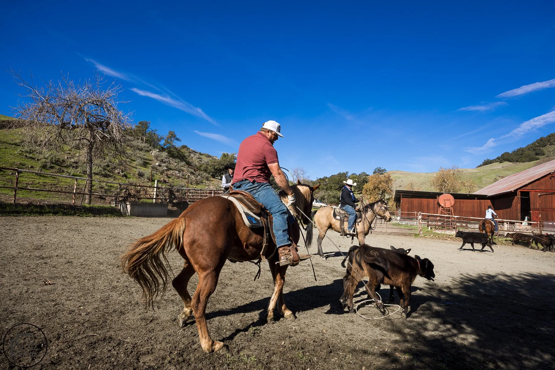 2026 CTC Branding-131.jpg