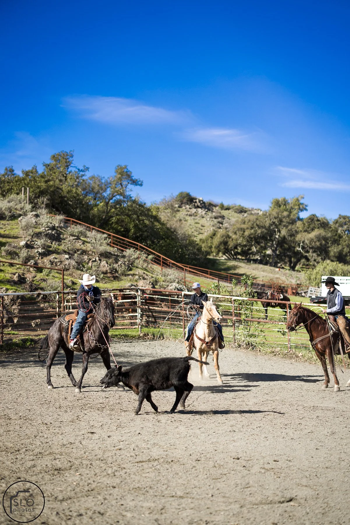 2026 CTC Branding-174.jpg