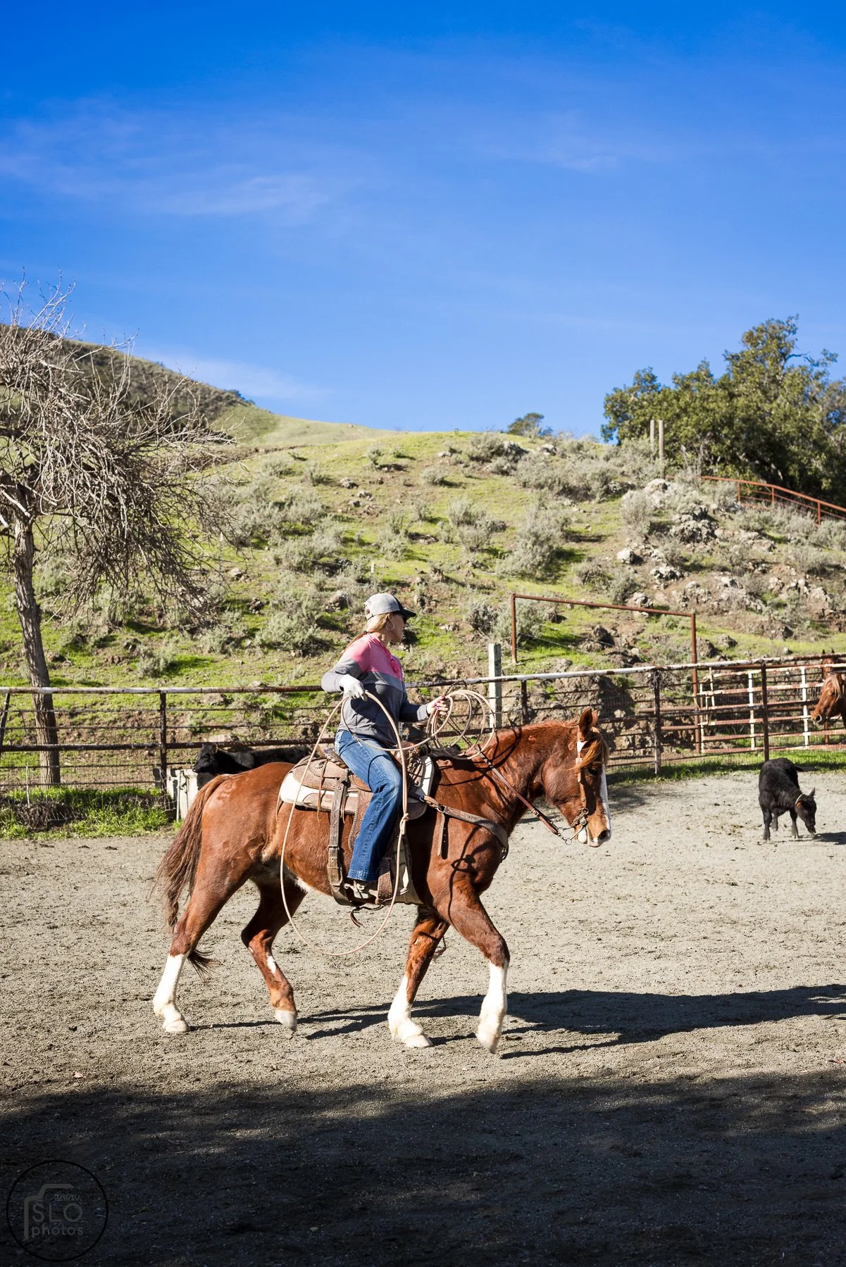 2026 CTC Branding-068.jpg