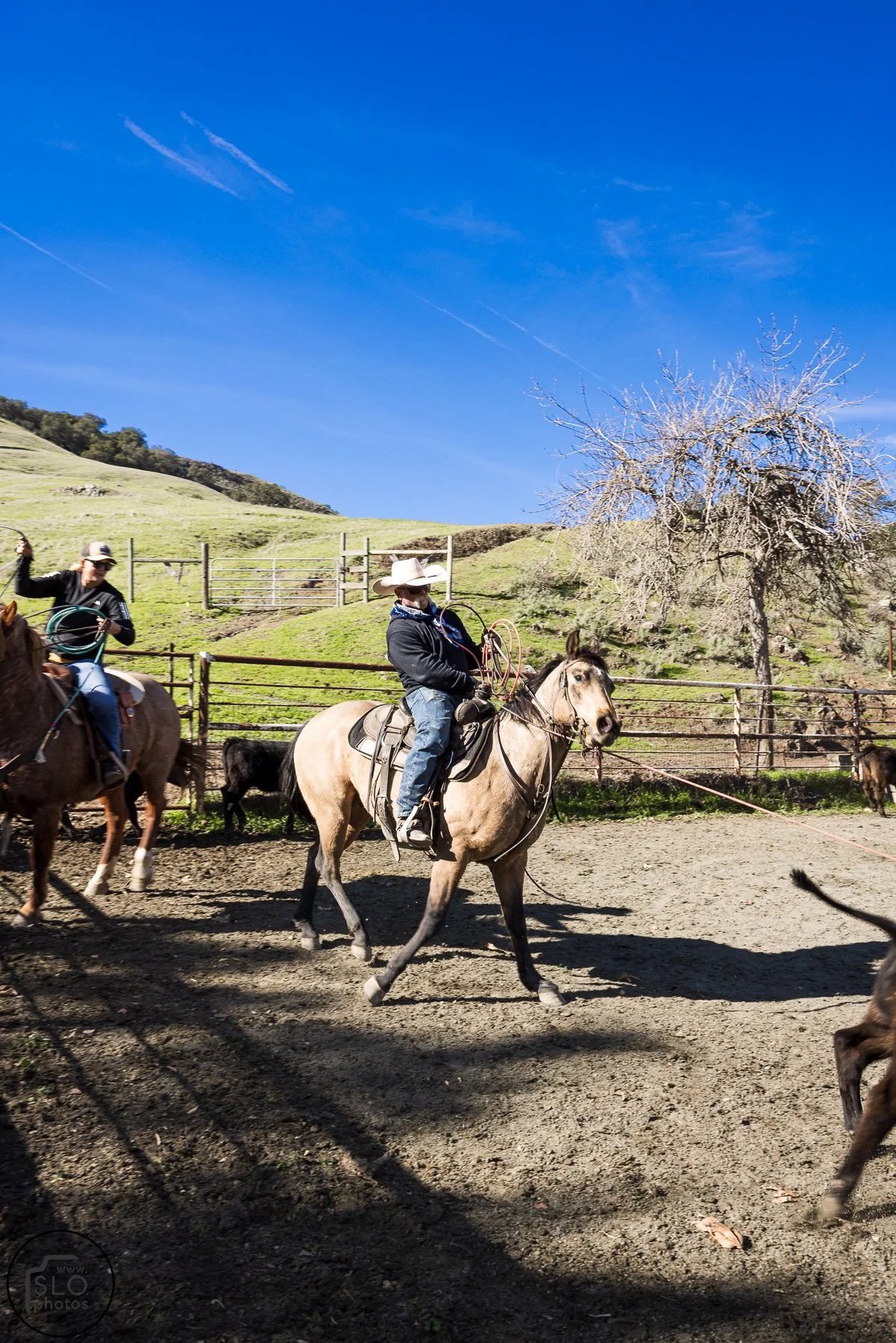 2026 CTC Branding-108.jpg