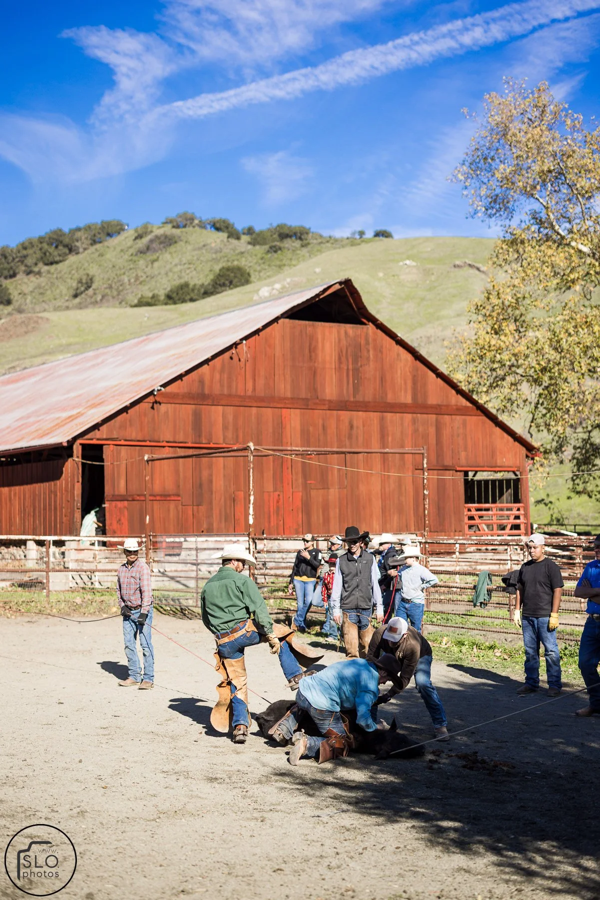 2026 CTC Branding-165.jpg