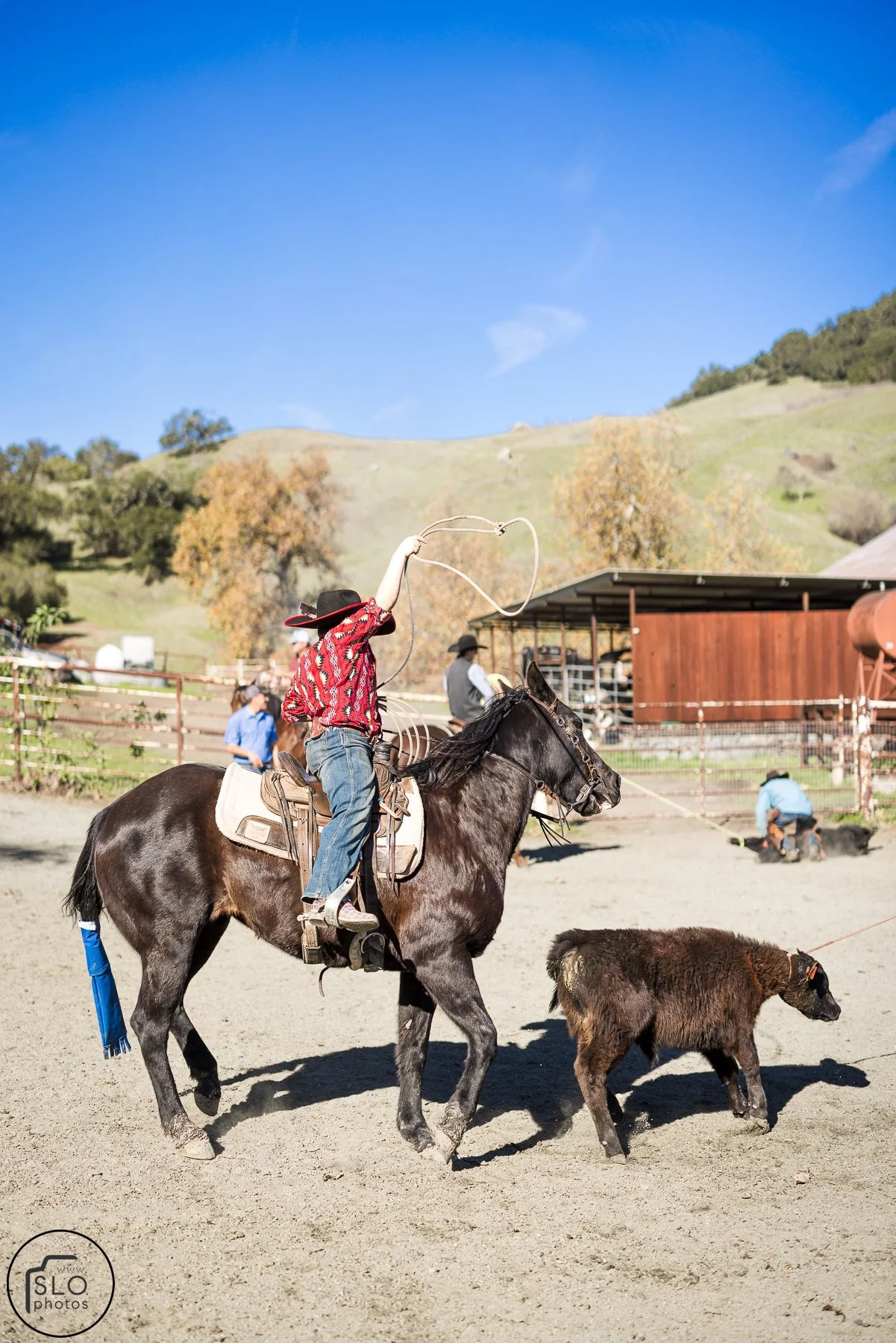 2026 CTC Branding-200.jpg