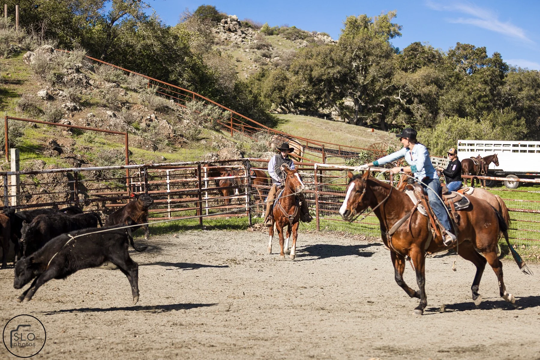 2026 CTC Branding-073.jpg