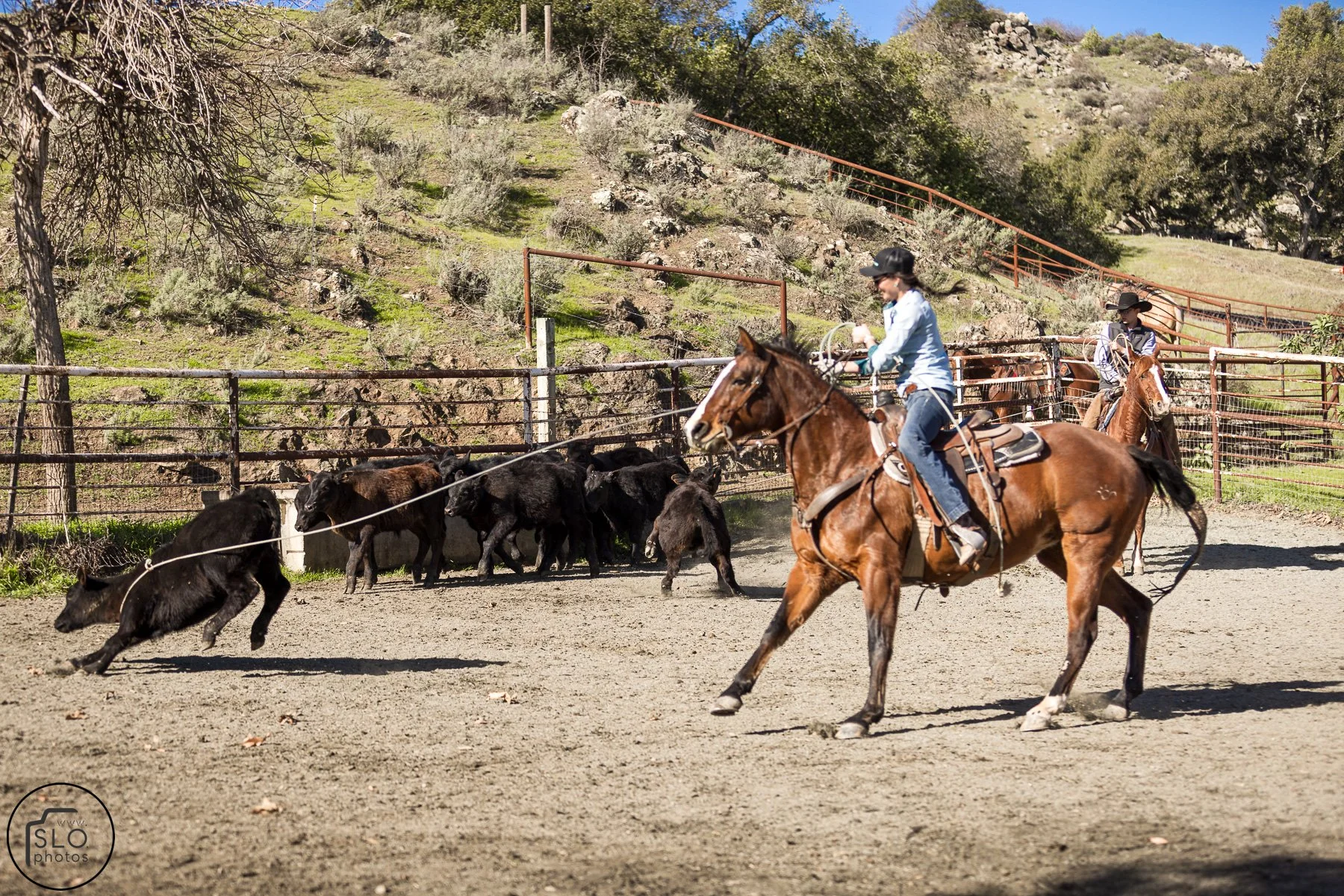 2026 CTC Branding-074.jpg