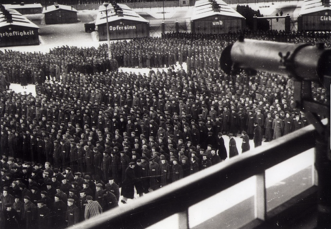 Roll call was a moment at Dora where many awful things happened, and punishments were given.