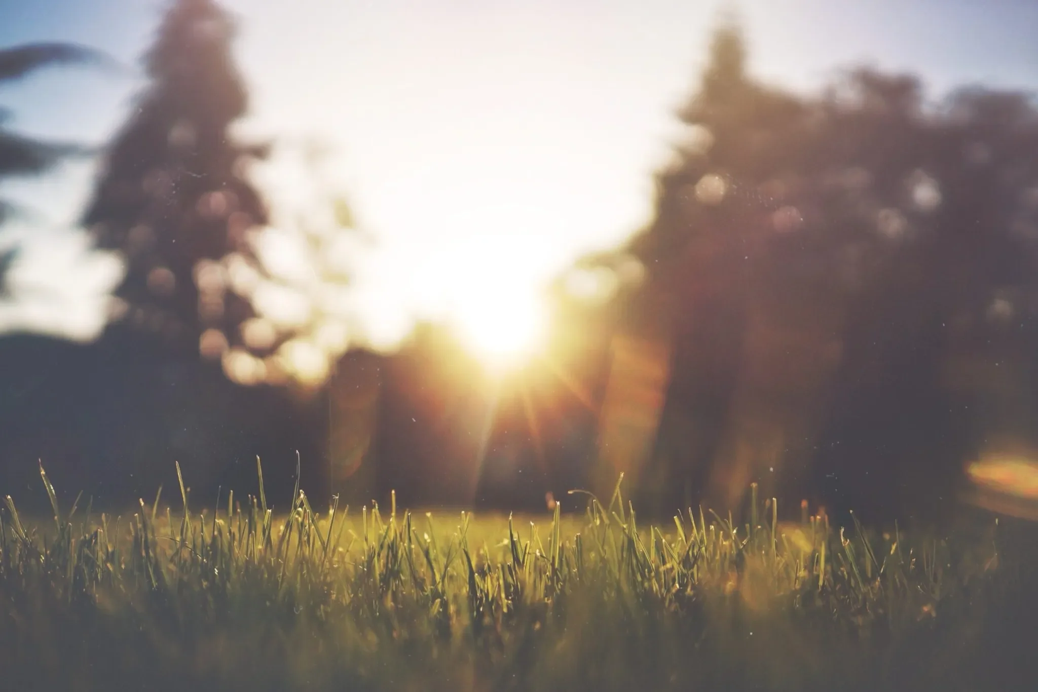Mindfulness Meditation