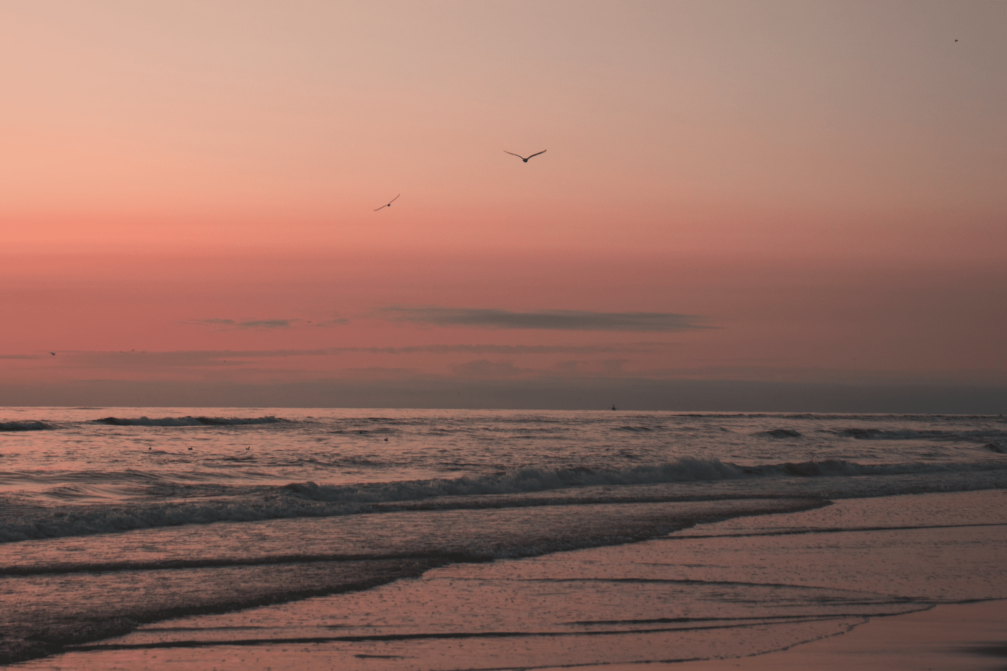 Grounding in Gratitude