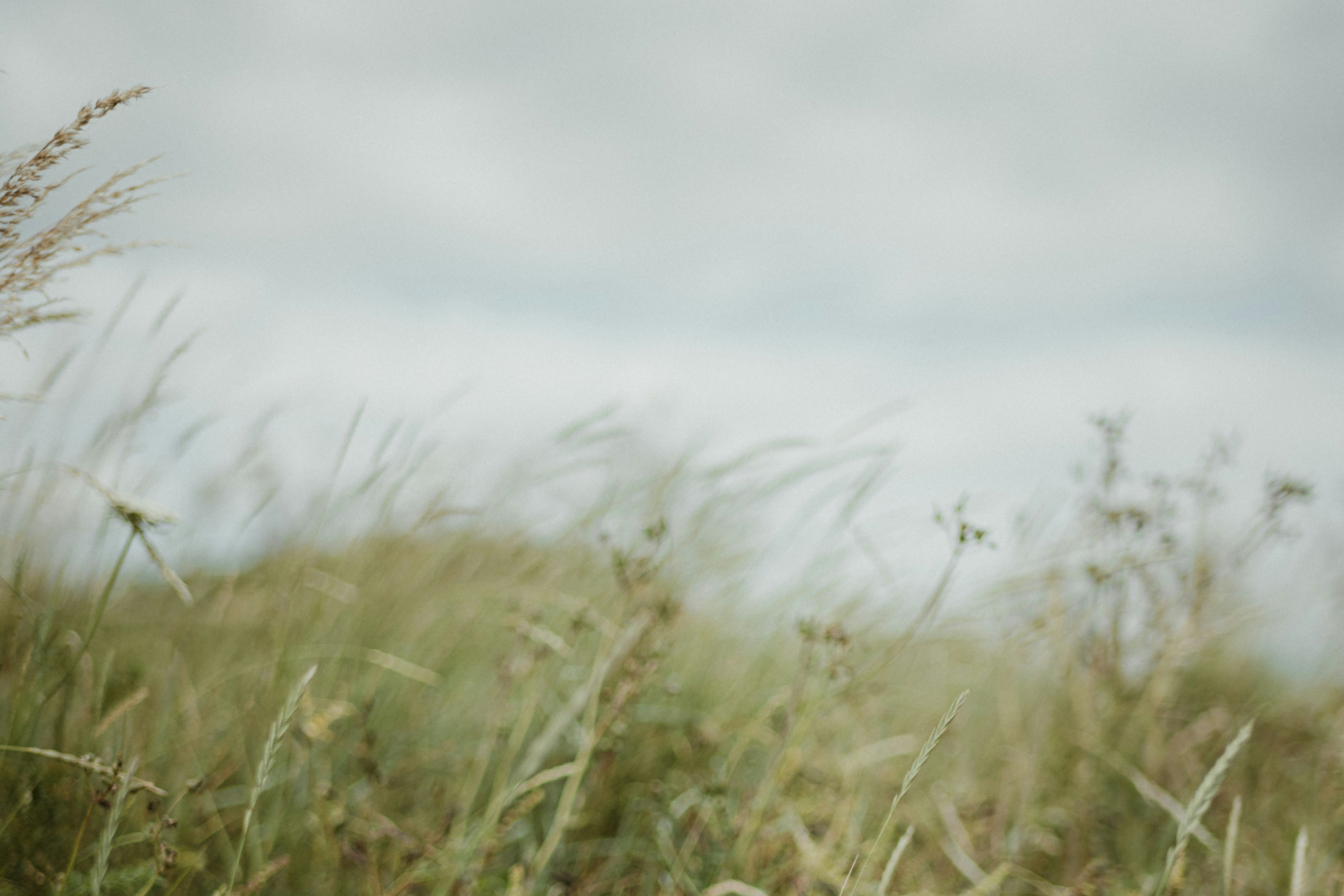 Letting Go of Overthinking