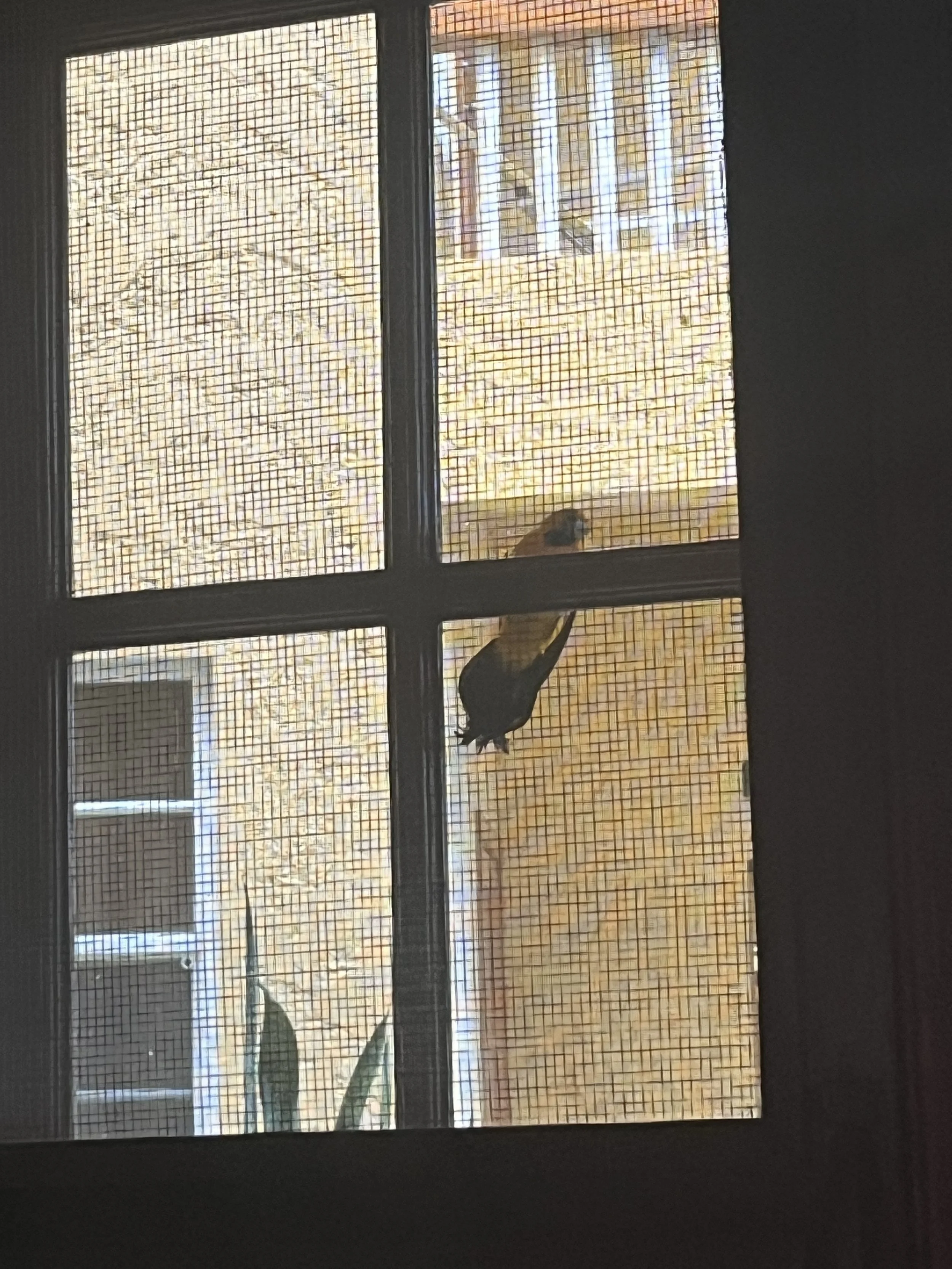 IMG_1904.jpeg