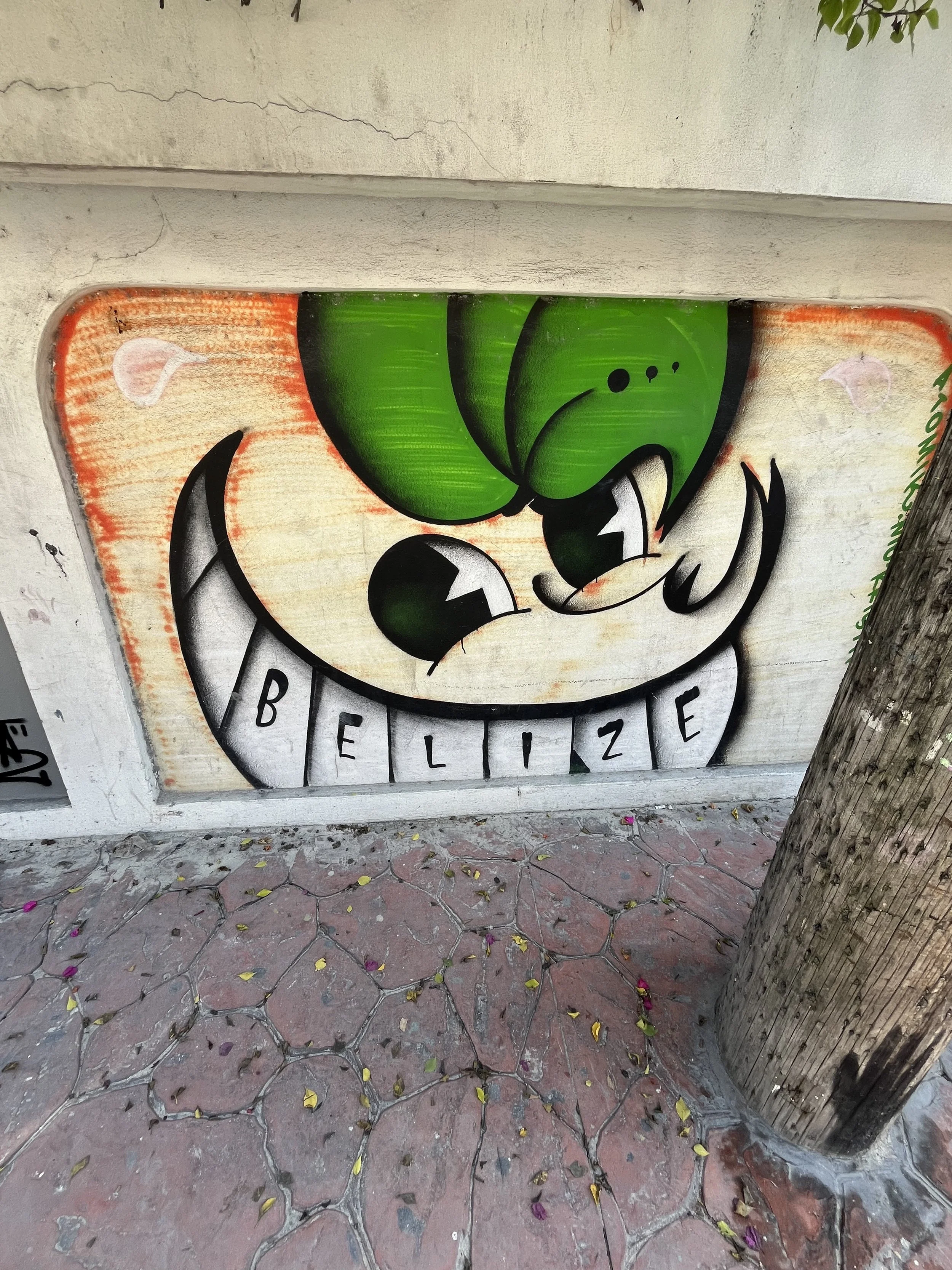IMG_1994.jpeg