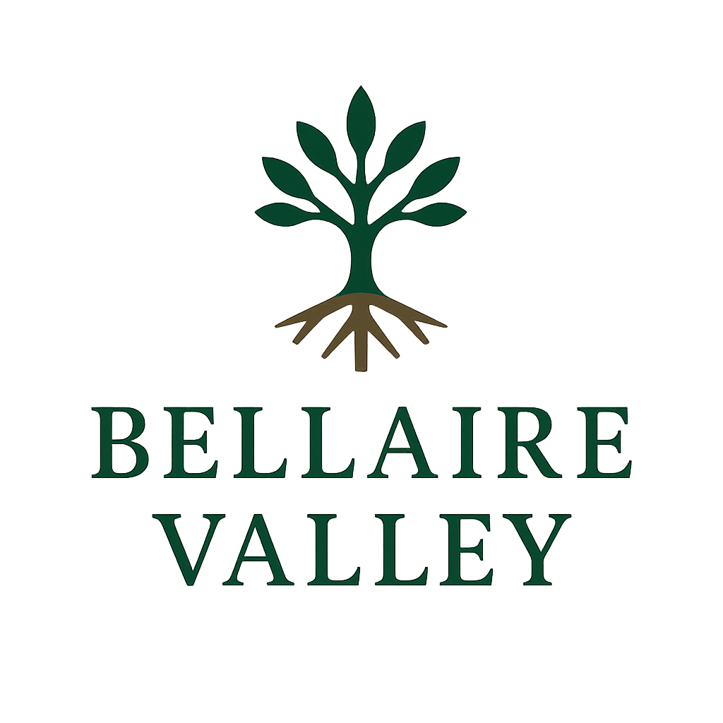 Bellairevalleyholdings.com