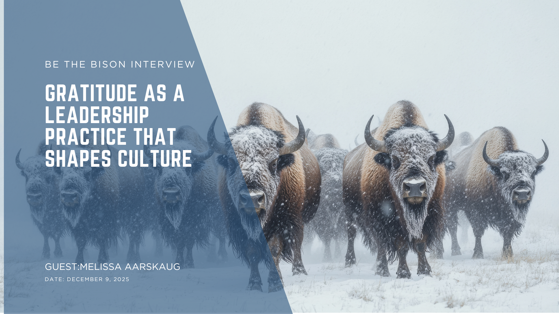 Gratitude as a Leadership Practice That Shapes Culture