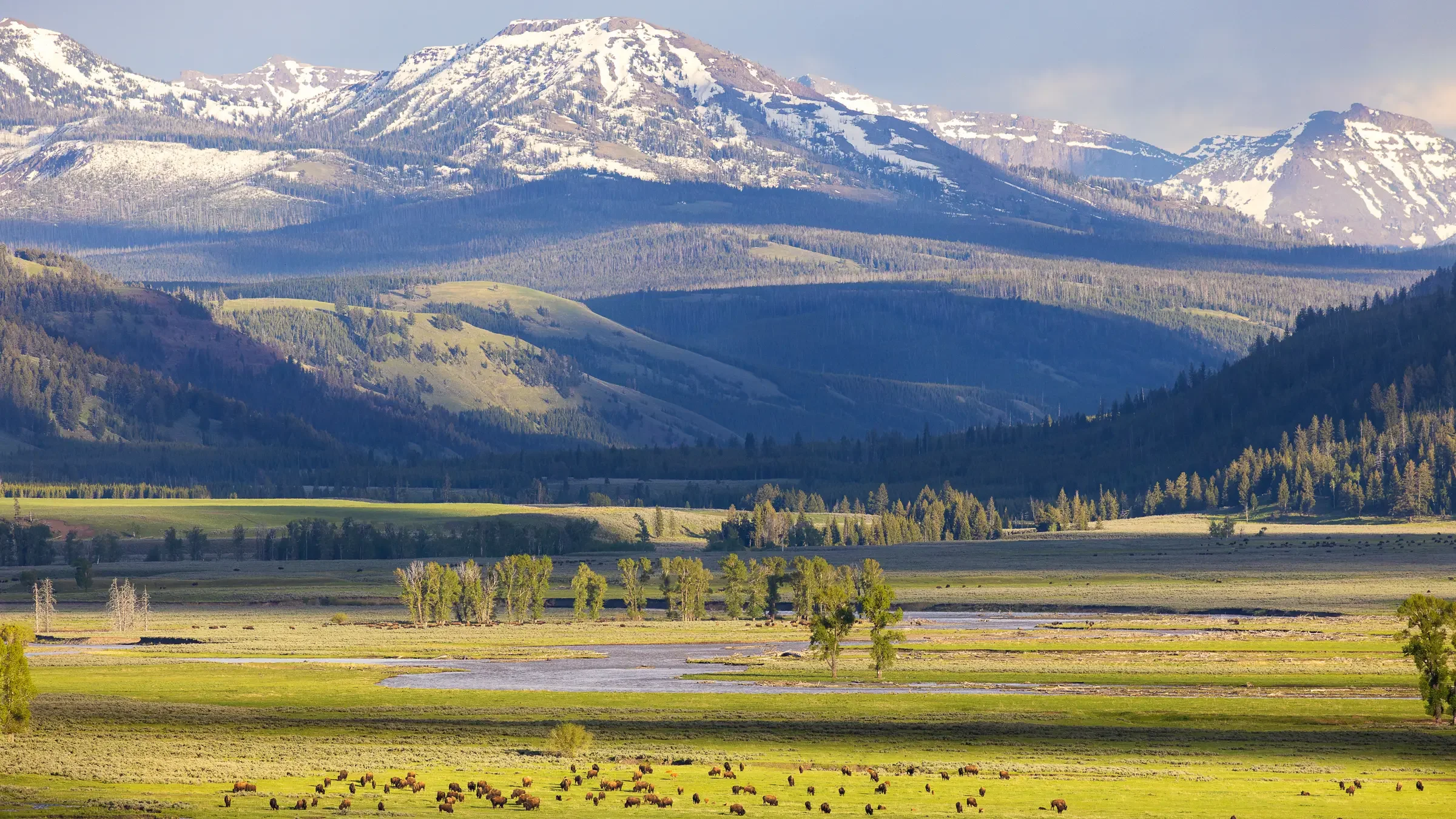 A scenic landscape of mountains with snow at the peaks, lush green hills, a river running through a wide field, and a herd of cattle grazing in the foreground.