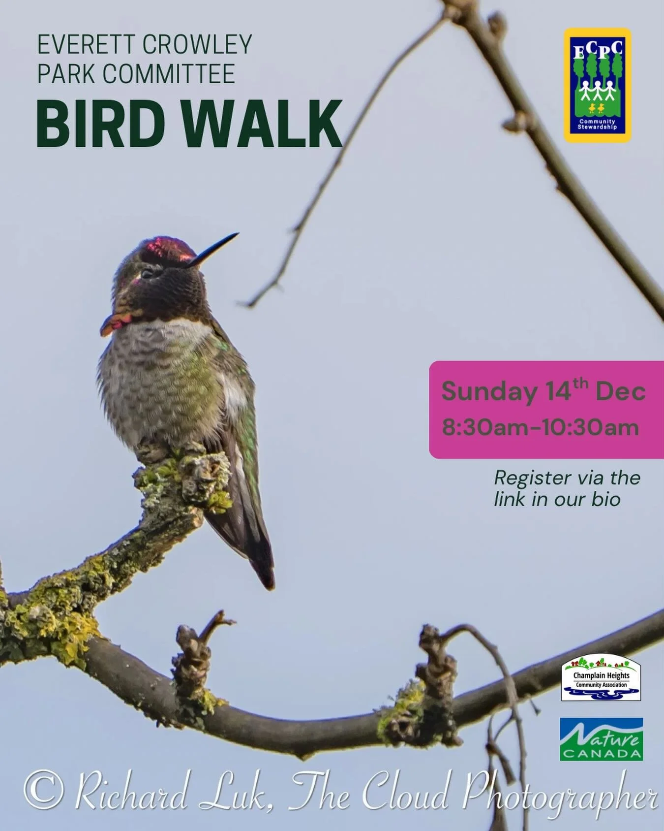 Join our last bird walk of the year! 

Whether you are a new or experienced birder join us in Everett Crowley Park to discover some of our flying friends! 

The winter is a great time of year to see some of the raptors including eagles, red tailed ha