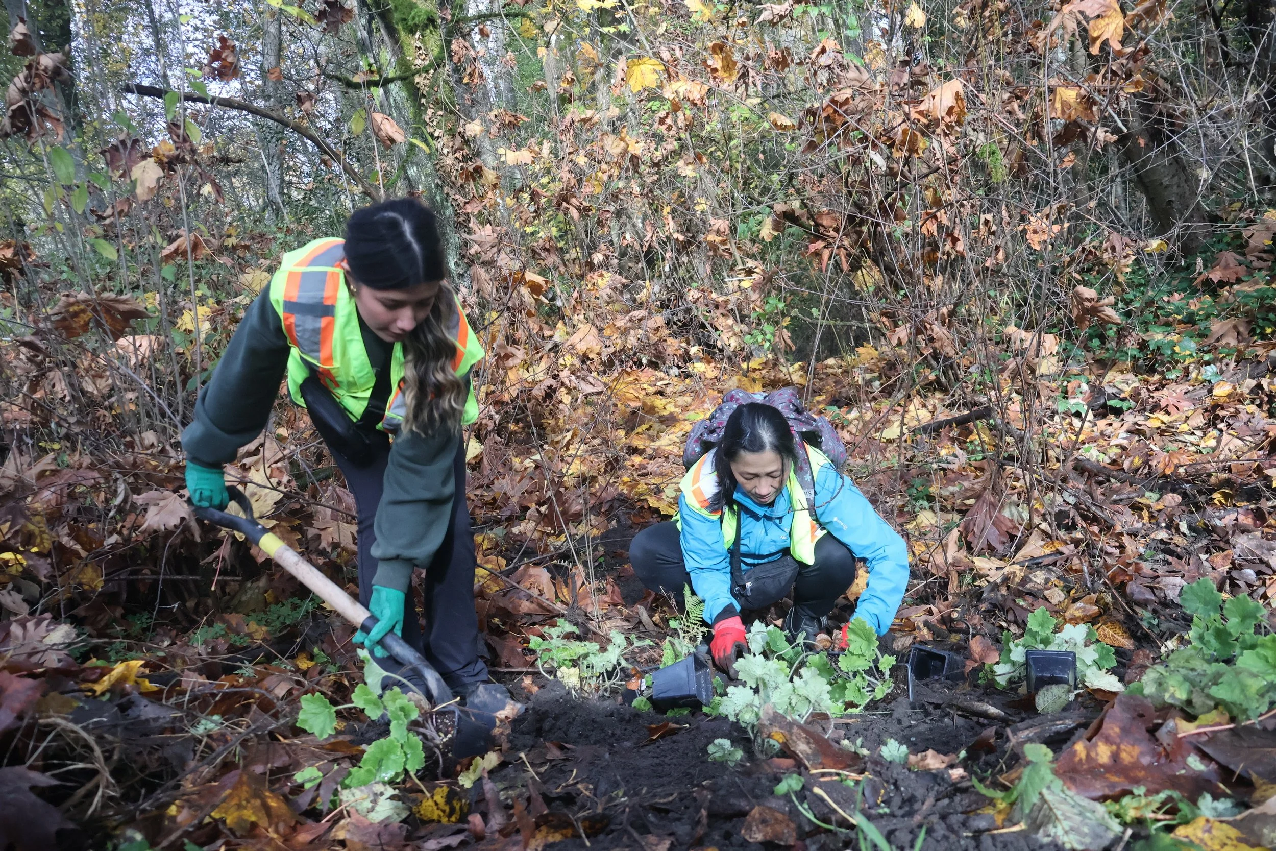 Environmental Stewardship