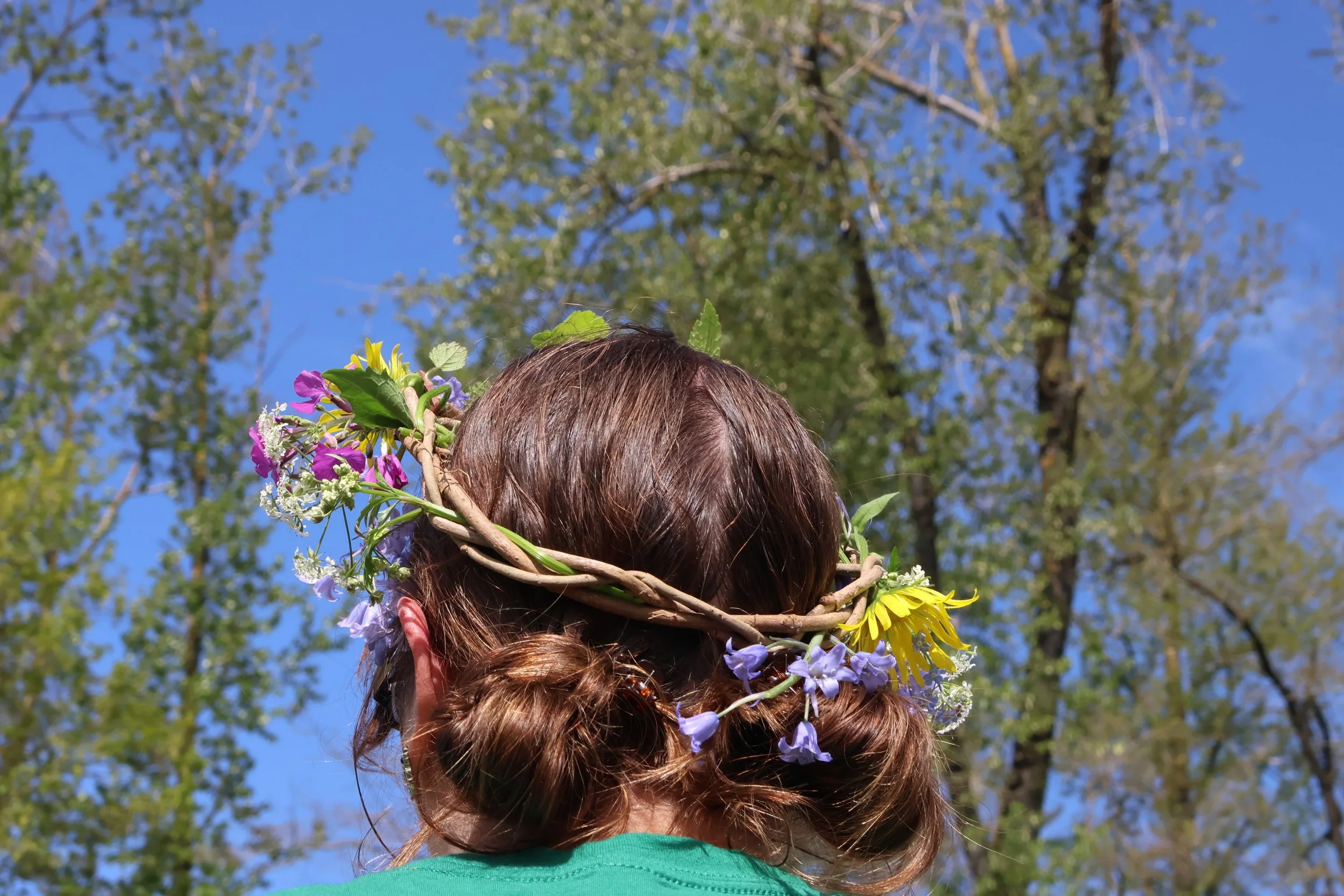 Science and Art for Crafty Kids