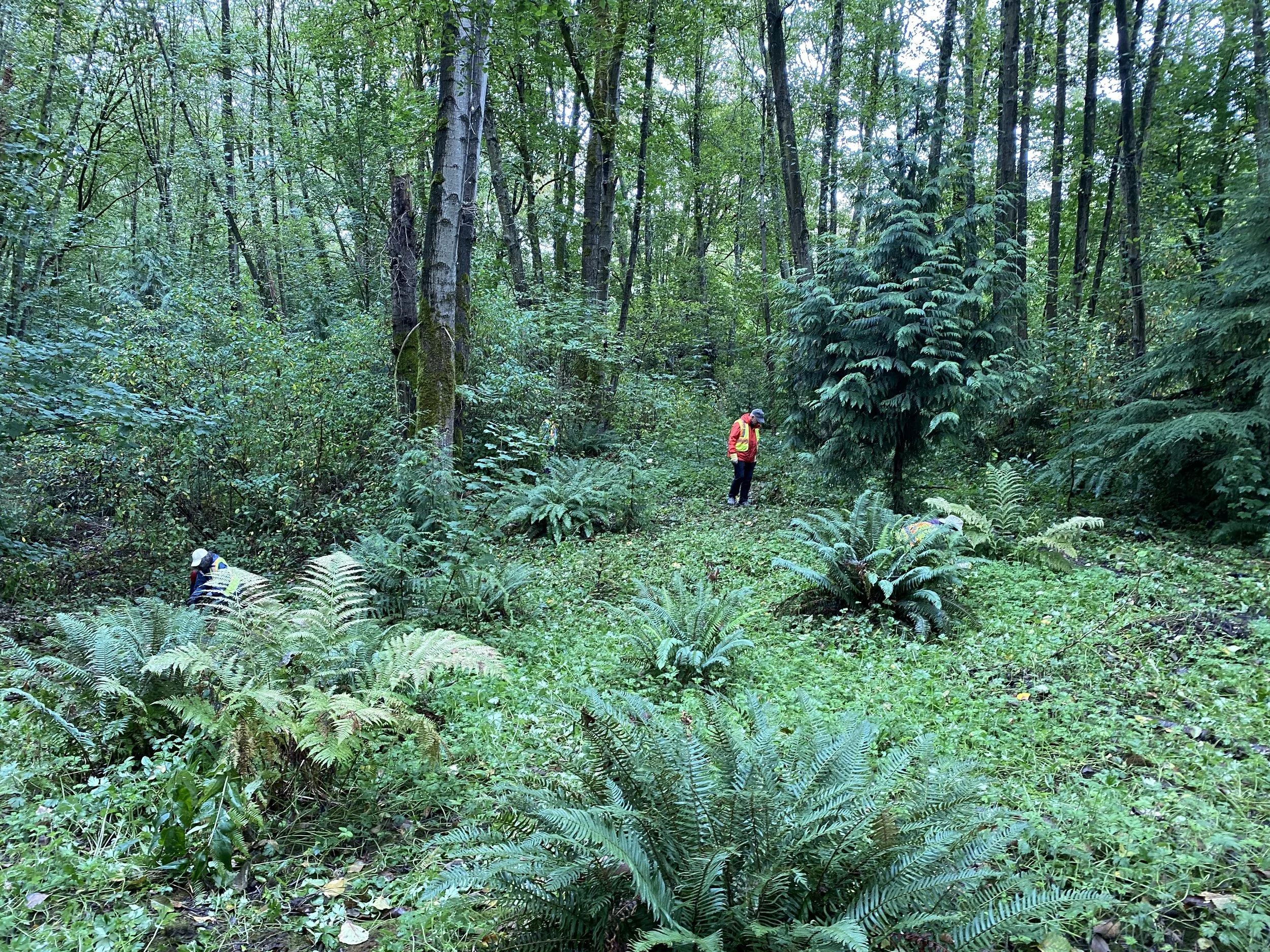 Science and Art for Crafty Kids