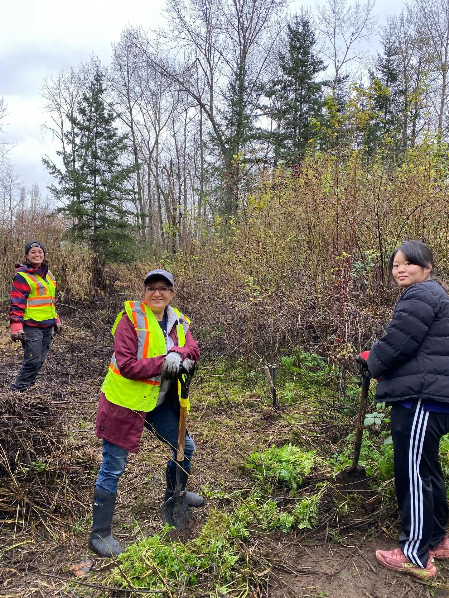 And that&rsquo;s a wrap on our last public planting session in 2025!

Thanks to the help of 82 volunteers who put in 253 hours across 4 public planting events, we managed to get all 2,000 plants donated from the @vanparkboard in the ground.

This tre