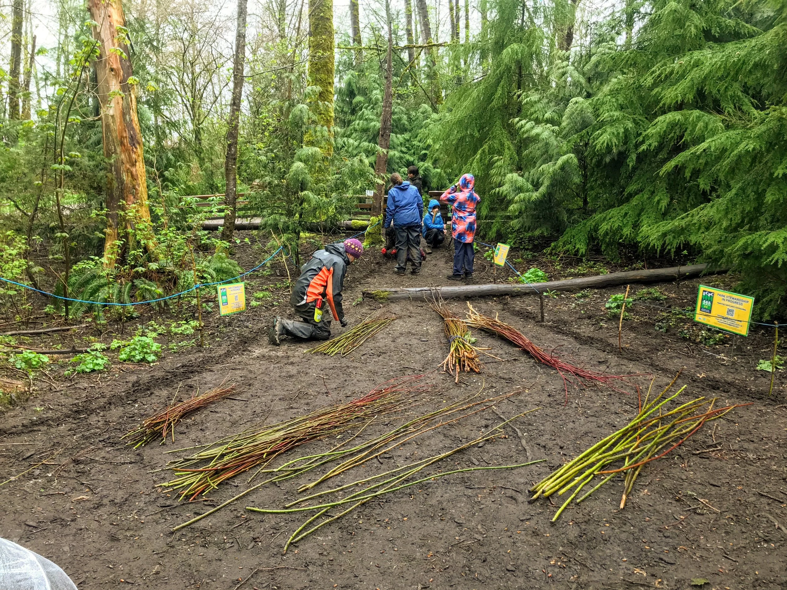Natural Fence Making with Willoughby Arevalo and Joe Boyd