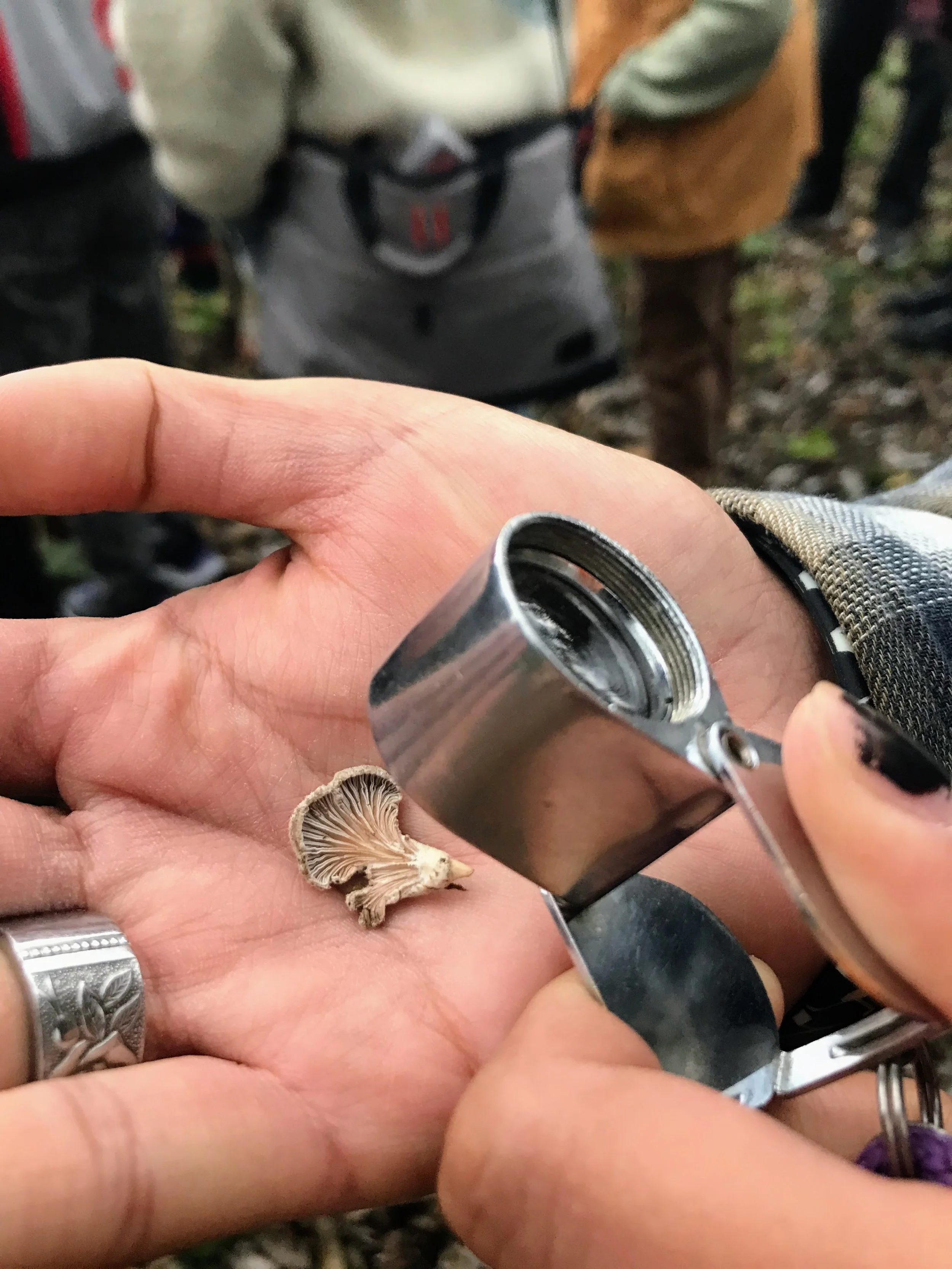 Science and Art for Crafty Kids