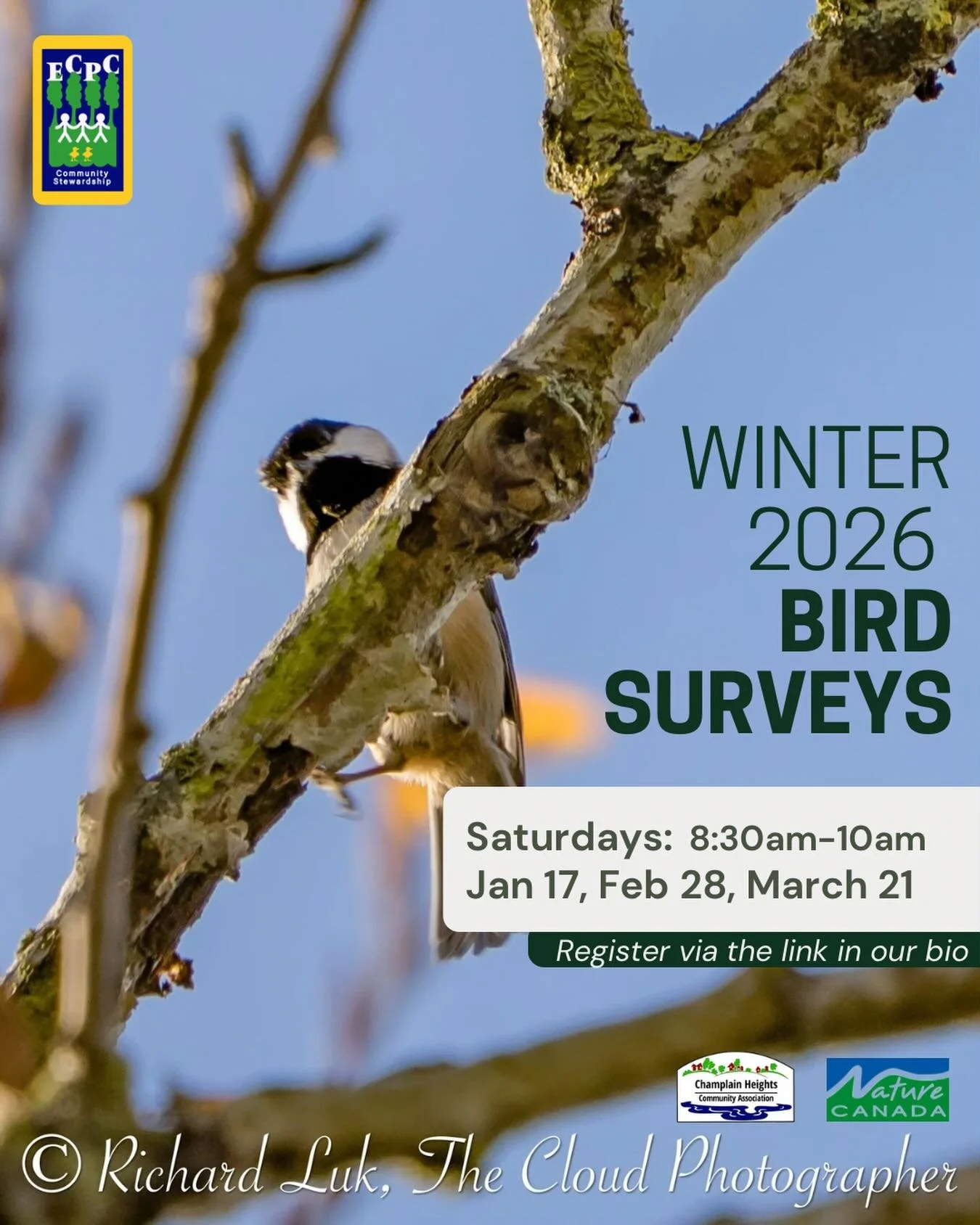 Join our winter bird surveys! These are a great way to gain field experience and learn more about birds, or to contribute your existing bird ID skills to help create long term data sets in Everett Crowley Park. 

Sign up via the link in our bio!