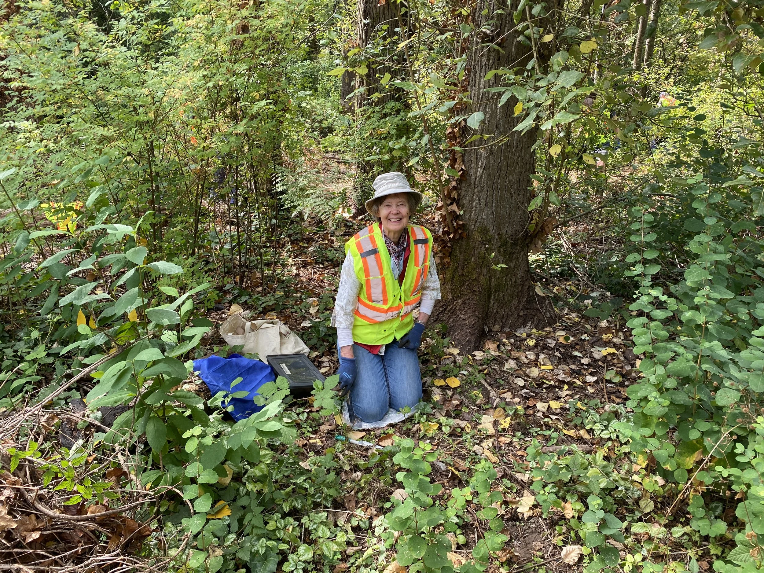 Environmental Stewardship