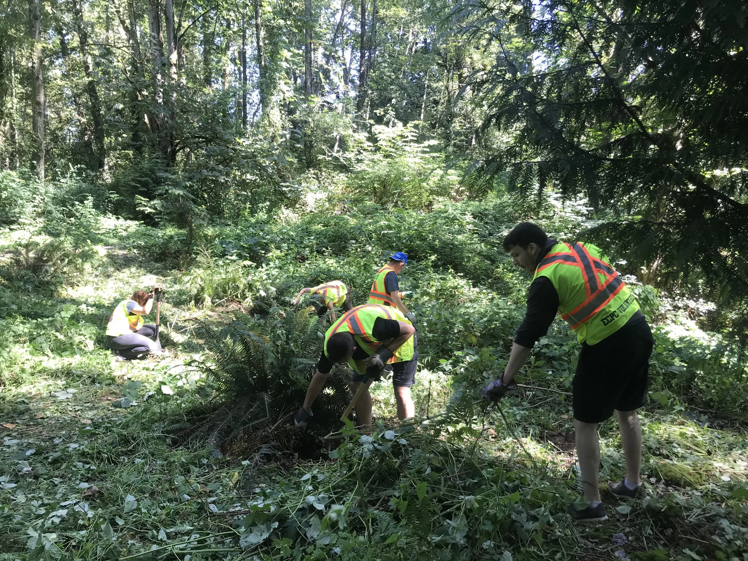 Environmental Stewardship