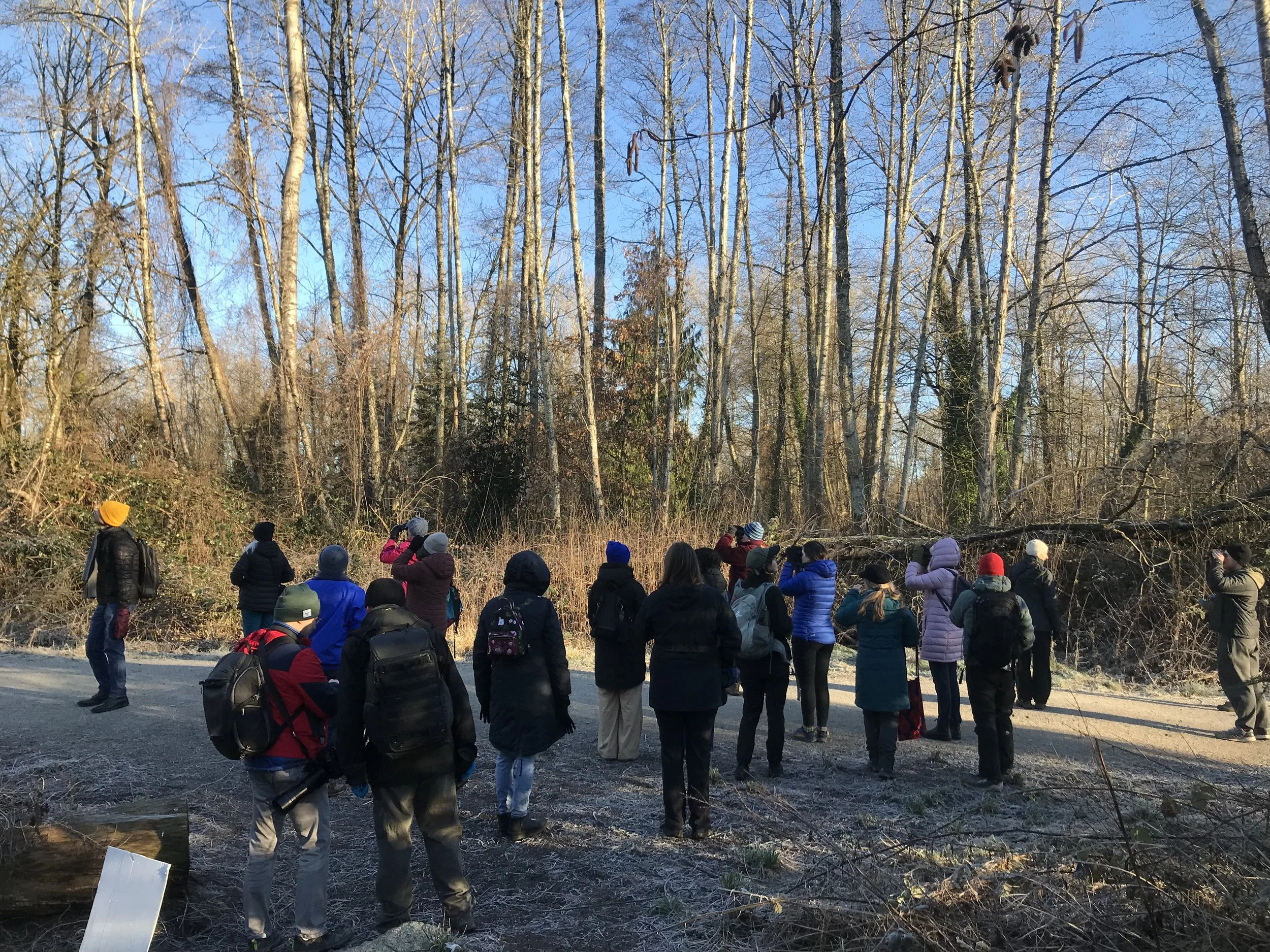 Amphibian and Nature Walk