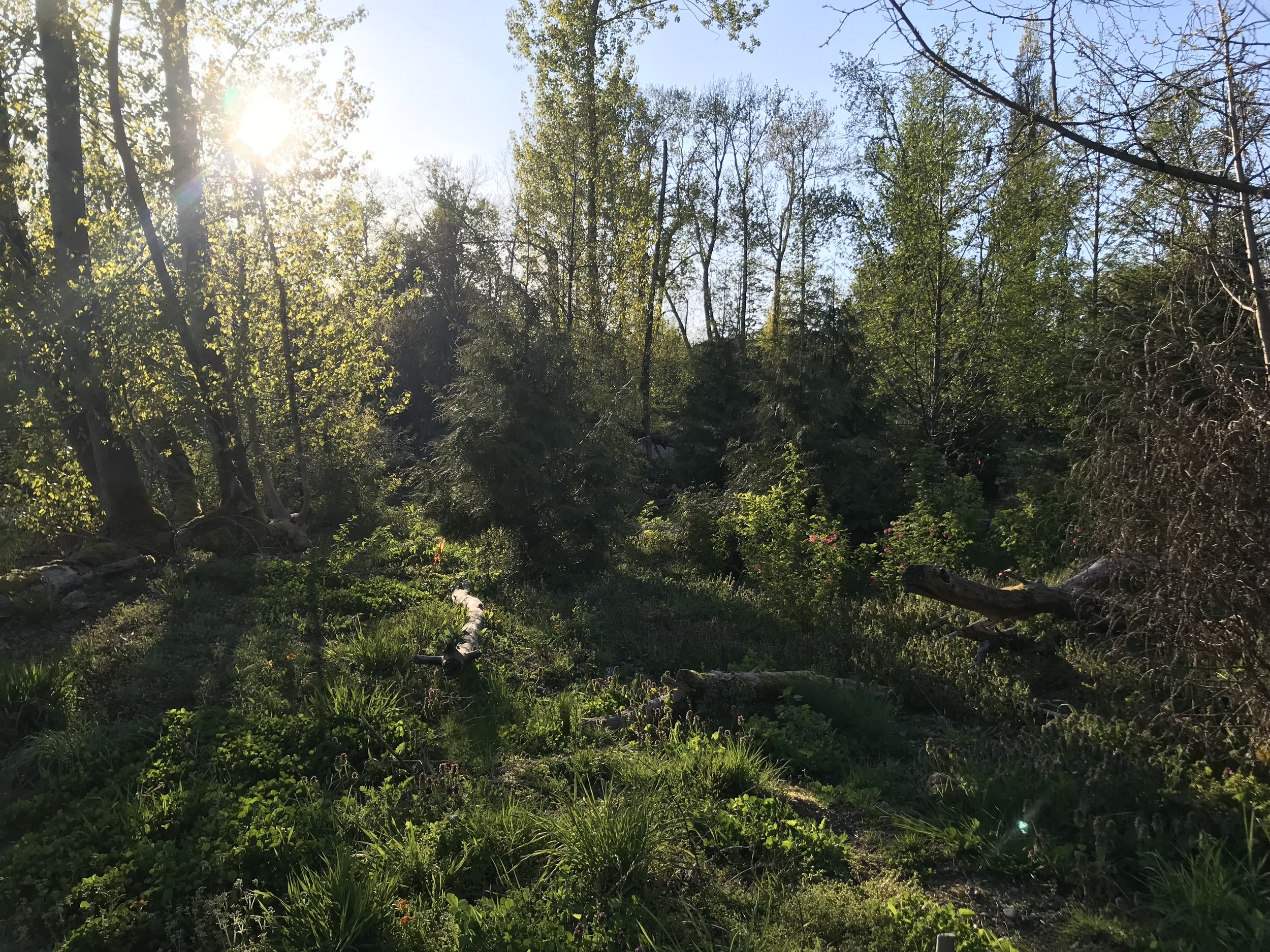 Amphibian and Nature Walk