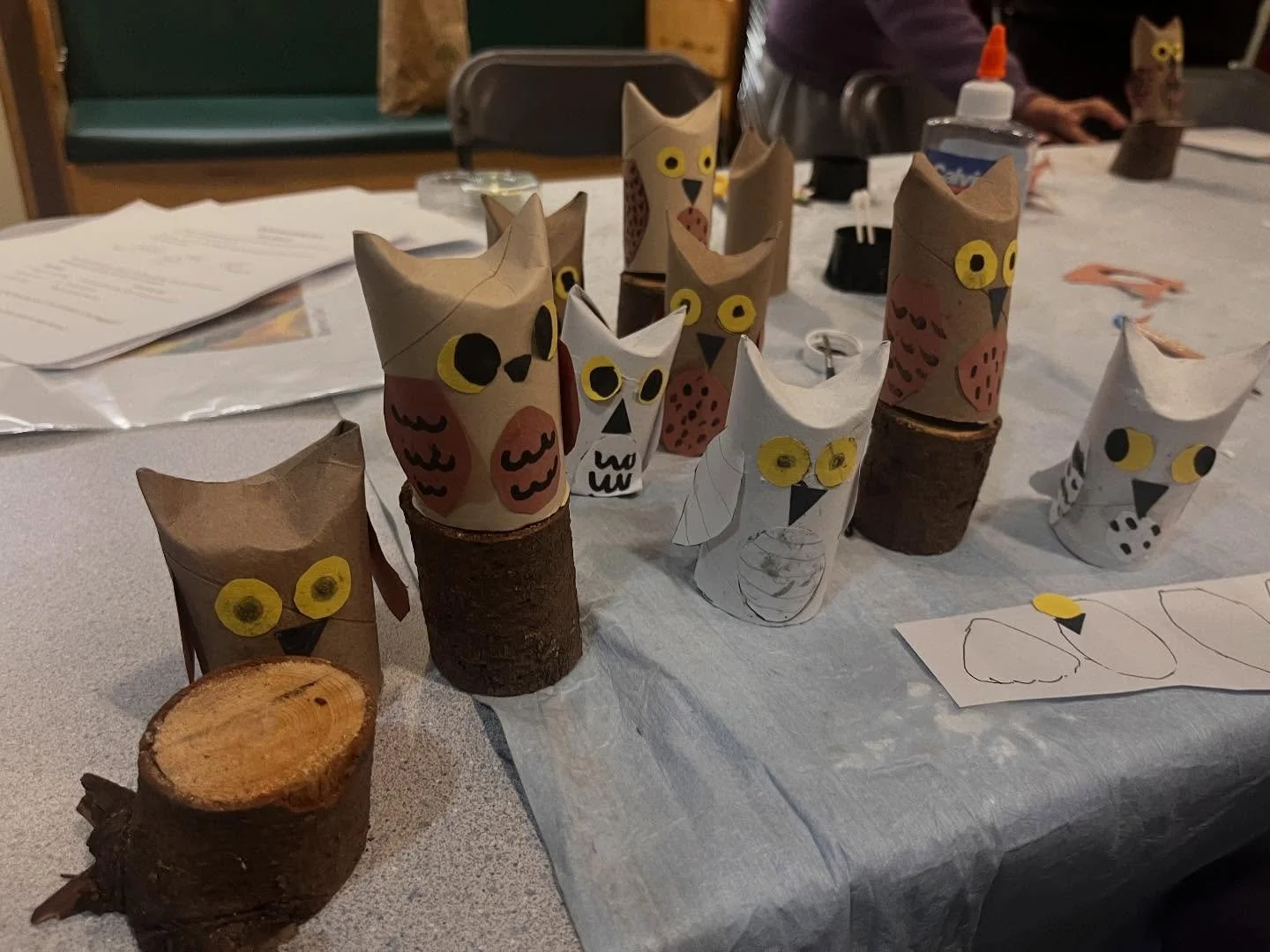 The parliament of owls that kids made at our &lsquo;Science and Art for Crafty Kids&rsquo;!

Run by nature educator, Cole, these programs combine science, nature and crafts, teaching kids about a different topic each week through a hands on craft mak