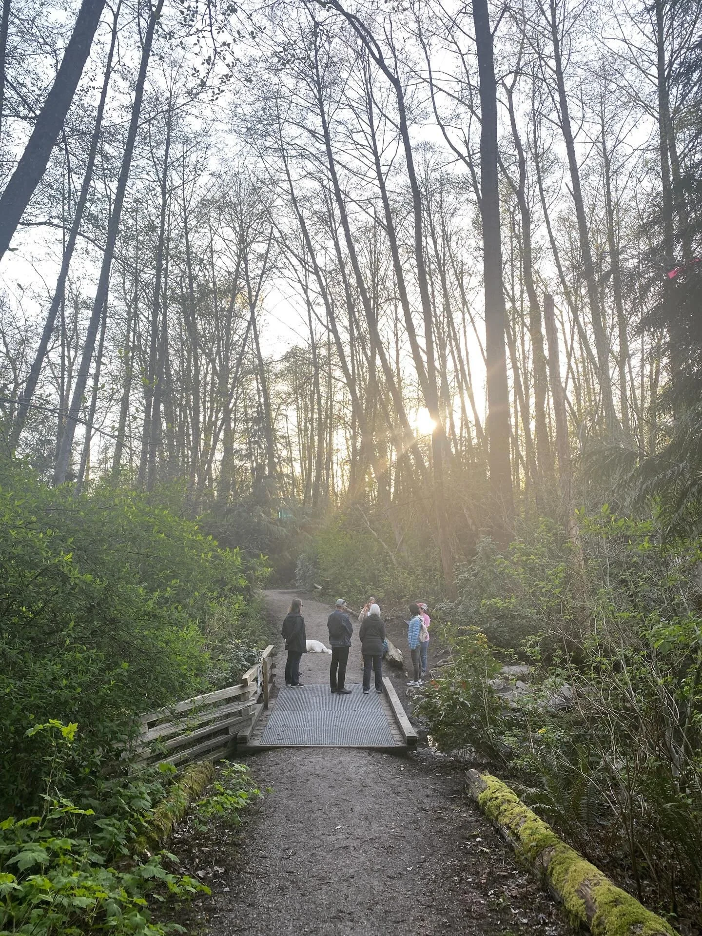 Our first dogs and frogs event was a success! 

We were please to be joined by special doggy guest boomerang! 

We heard pacific chorus frogs, looked for salamanders and visited some of ECPC&rsquo;s stewardship sites focused on amphibian restorations