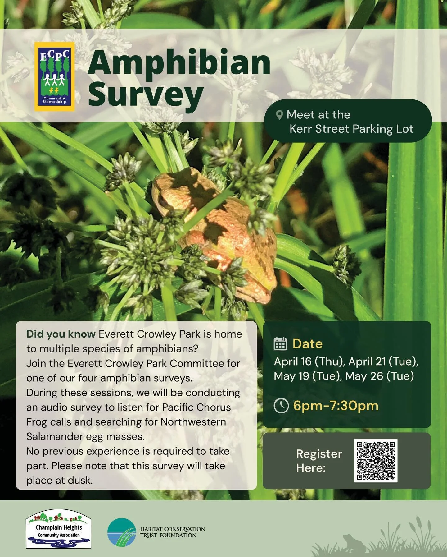 Join our four amphibian surveys! 

We will be conducting audio surveys and egg mass surveys , specifically looking to document Pacific Chorus Frog and North Western Salamanders. 

These are beginner friendly!

Sign up via the QR code or link in our b