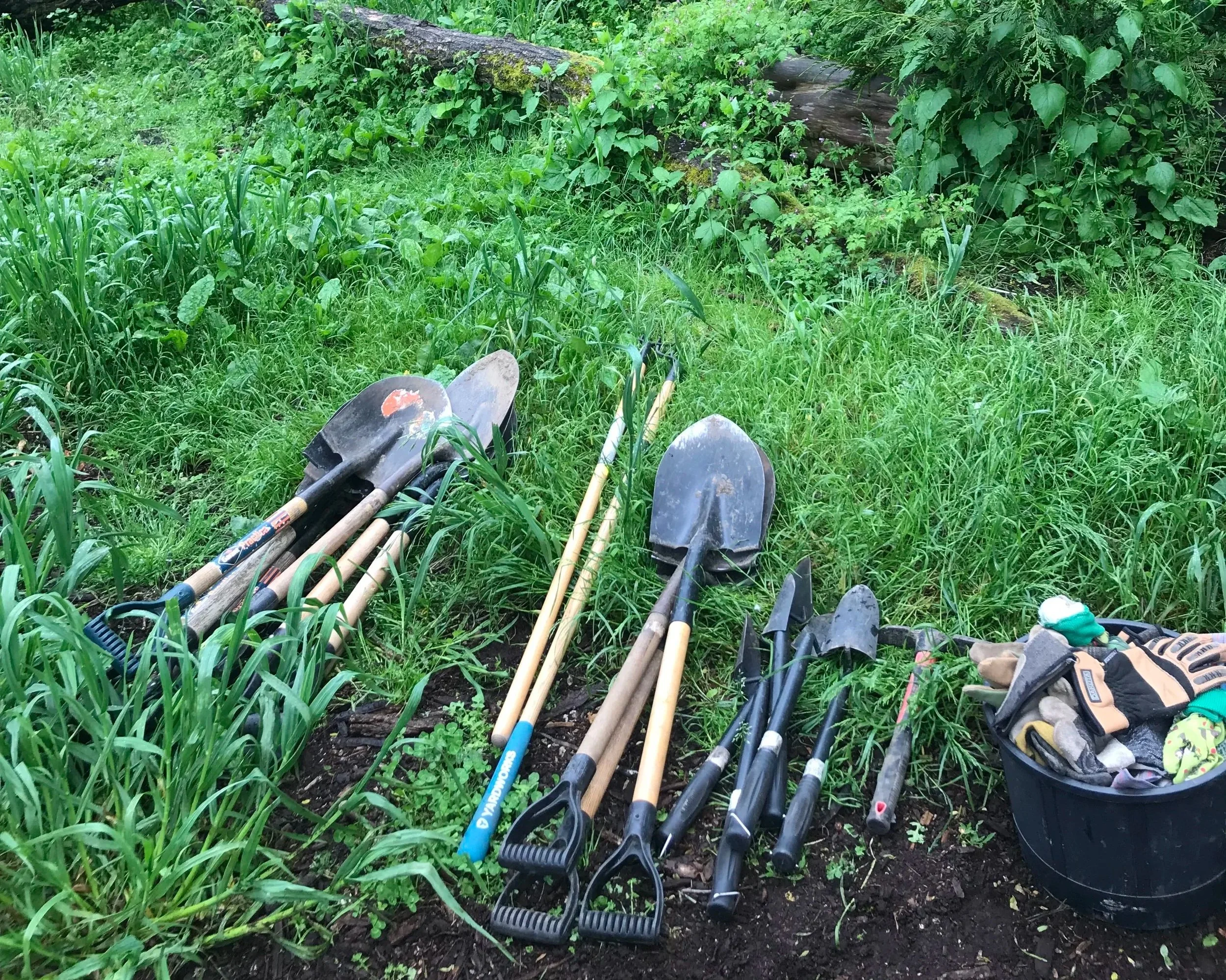 Creating a Home Base for Healing our Park