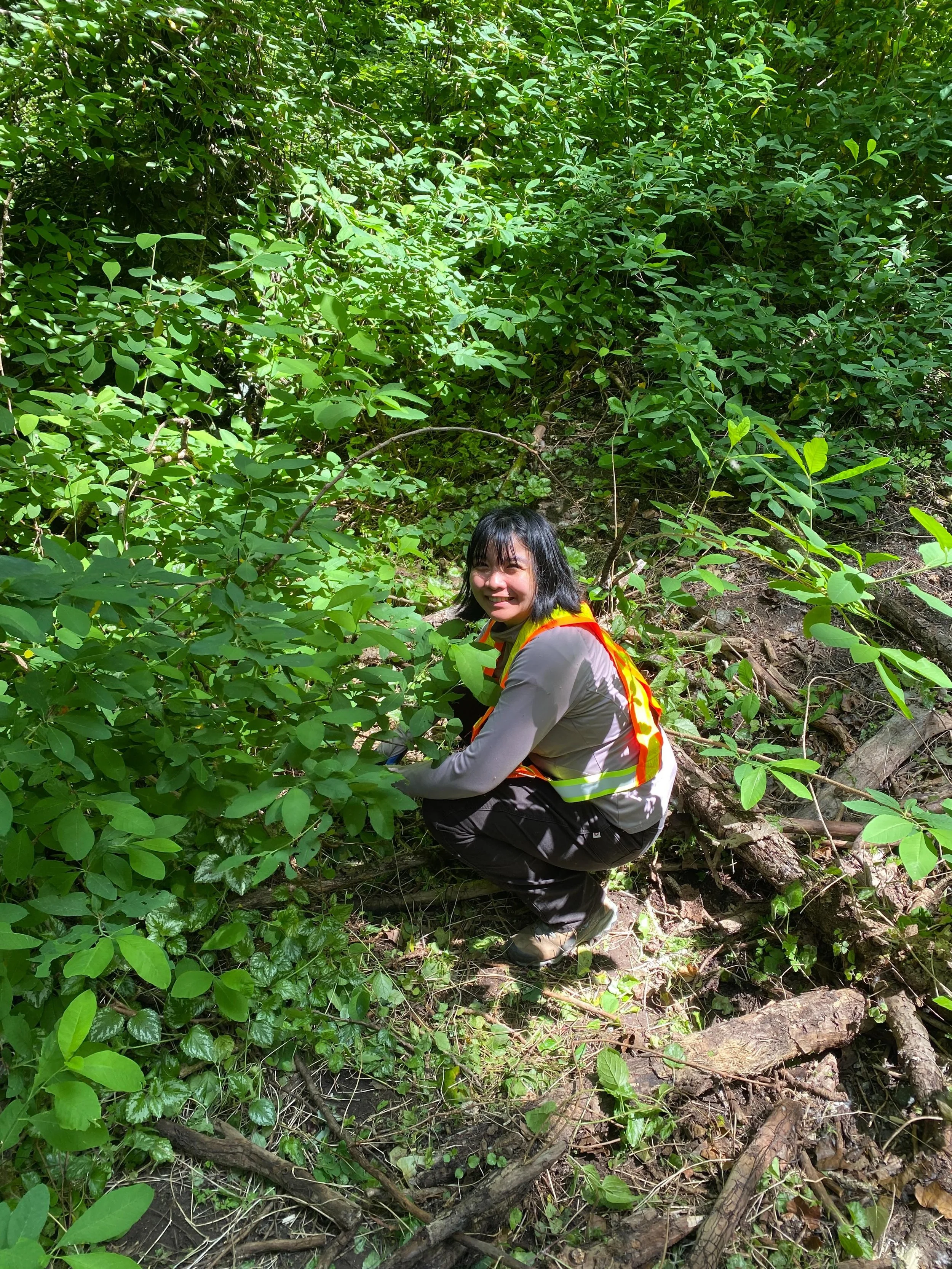 A great day for stewardship! 🌿

On Saturday, volunteers worked delicately around the Indigenous plants planted last fall to remove invasive species regrowth.

It is one of the great joys of spring to watch the Indigenous plants, planted by 100s of v