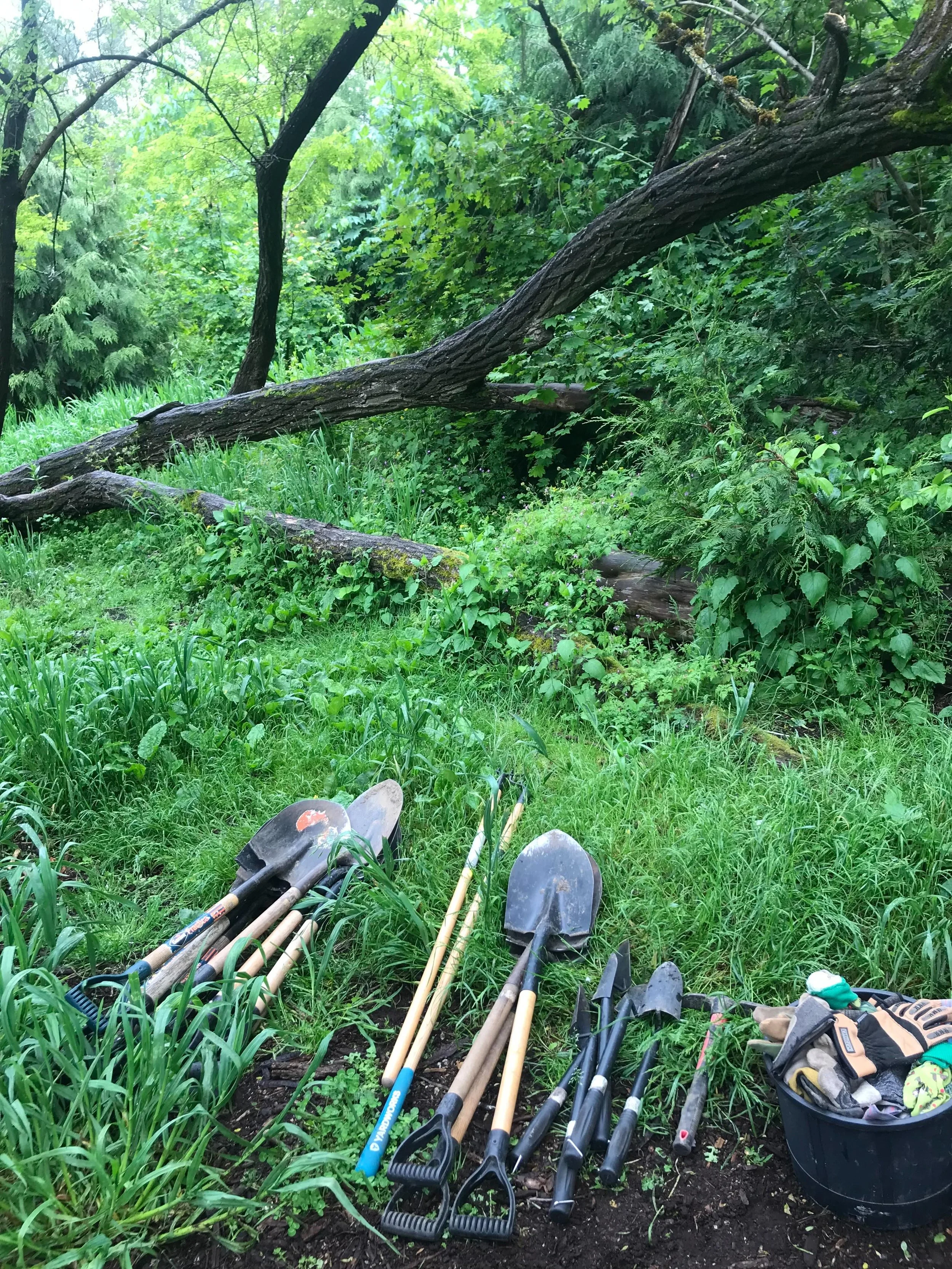 Just more than one week left for the community to help create the Community Stewardship Basecamp in Everett Crowley Park!

What could a home for stewardship and community look like in the park? 

We&rsquo;re working to transform a simple shipping con