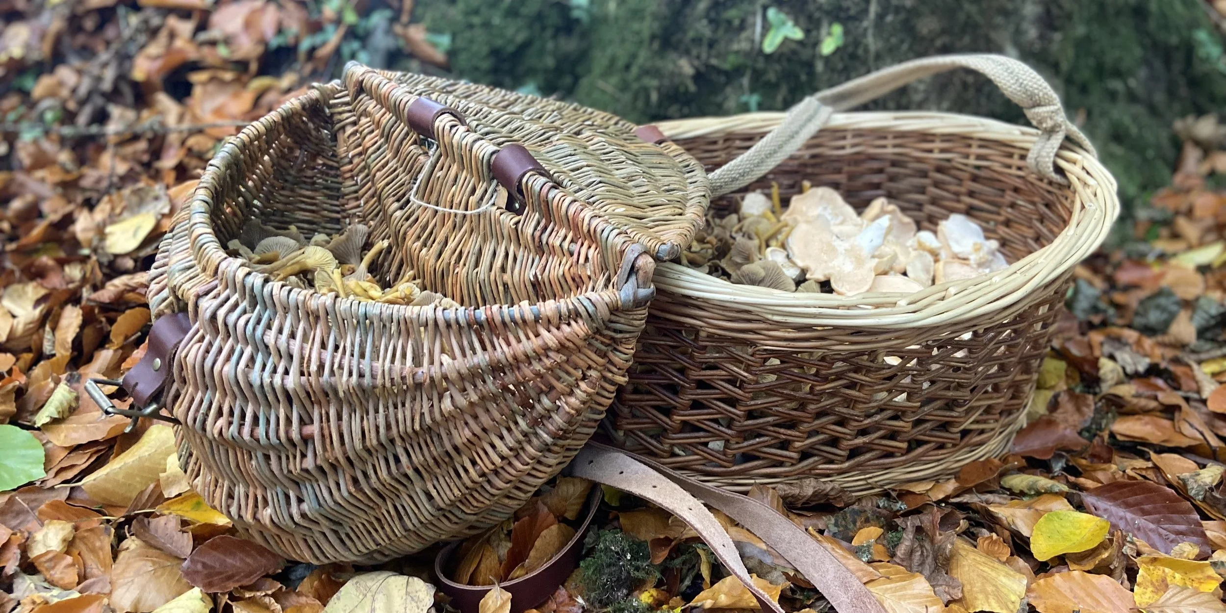 Two wicker baskets, one open and one with a lid, filled with freshly picked mushrooms, sitting on a bed of fallen autumn leaves outdoors.