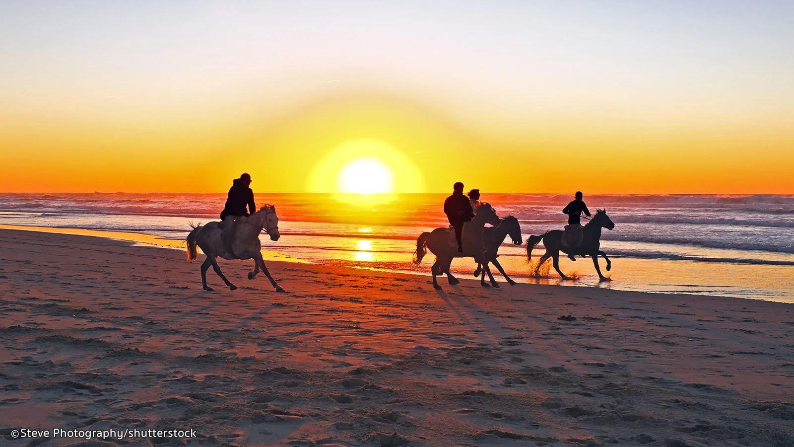 horse-riding.jpg